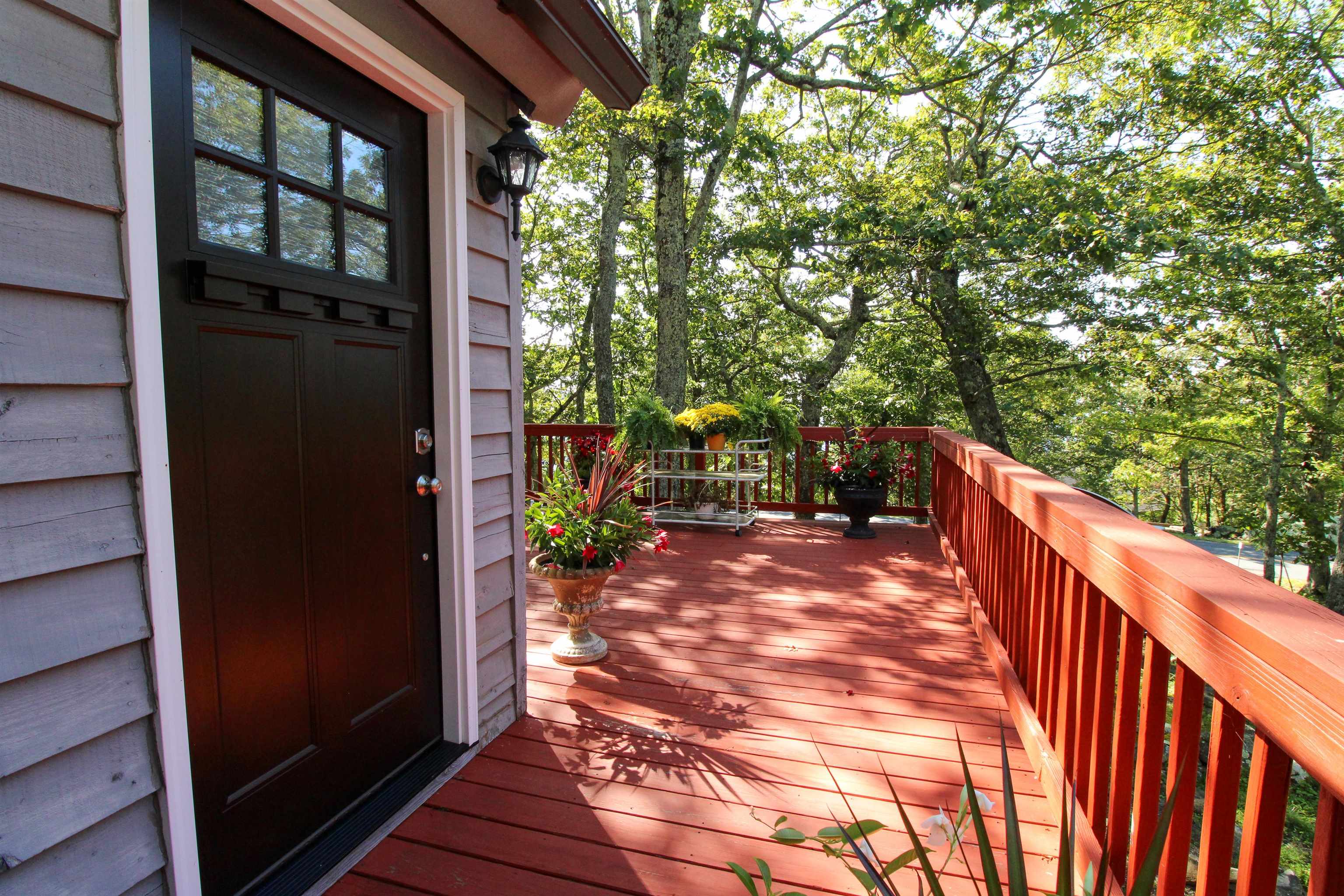 781 DEVILS KNOB LOOP, WINTERGREEN RESORT, Virginia 22967, 3 Bedrooms Bedrooms, ,3 BathroomsBathrooms,Residential,781 DEVILS KNOB LOOP,669248 MLS # 669248