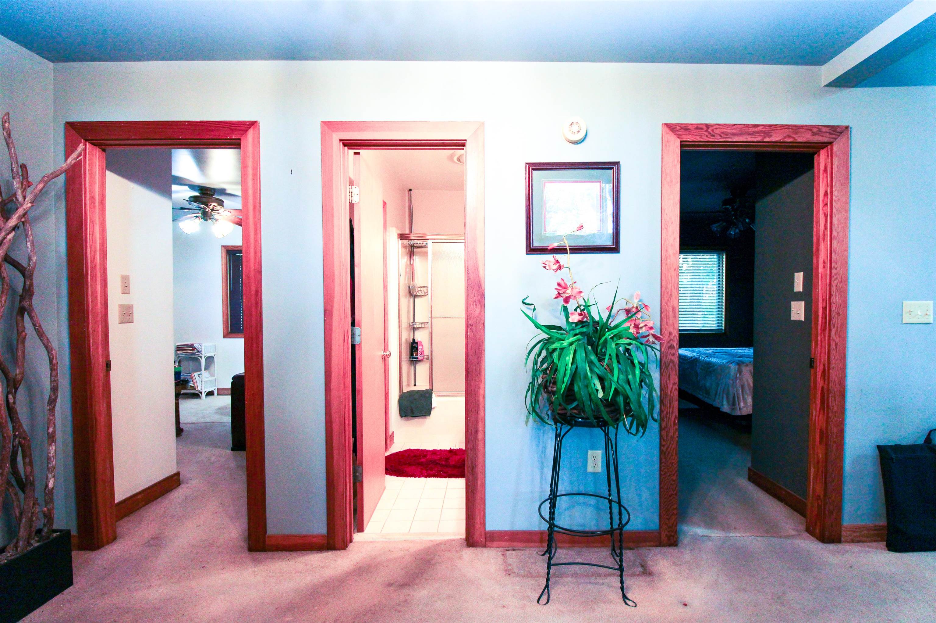 781 DEVILS KNOB LOOP, WINTERGREEN RESORT, Virginia 22967, 3 Bedrooms Bedrooms, ,3 BathroomsBathrooms,Residential,781 DEVILS KNOB LOOP,669248 MLS # 669248