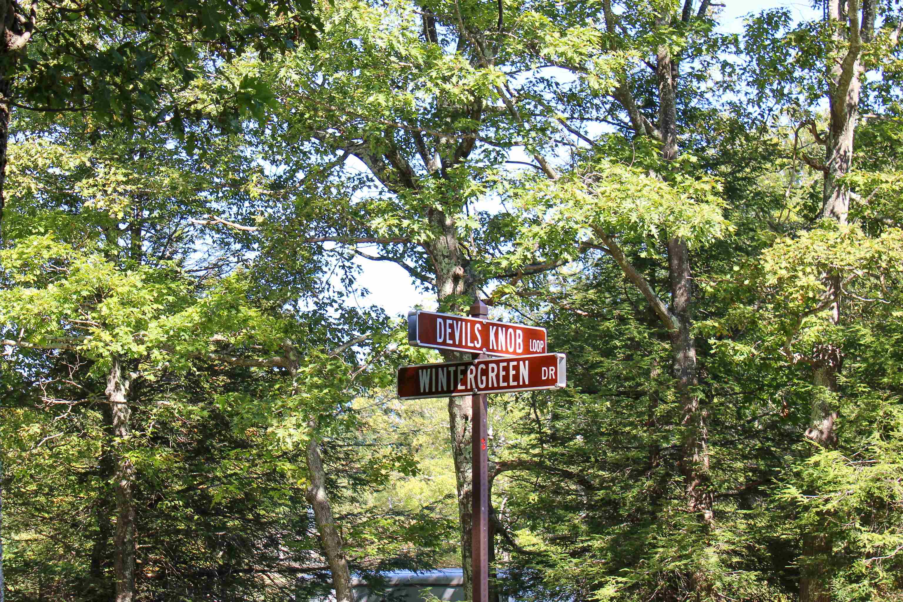 781 DEVILS KNOB LOOP, WINTERGREEN RESORT, Virginia 22967, 3 Bedrooms Bedrooms, ,3 BathroomsBathrooms,Residential,781 DEVILS KNOB LOOP,669248 MLS # 669248