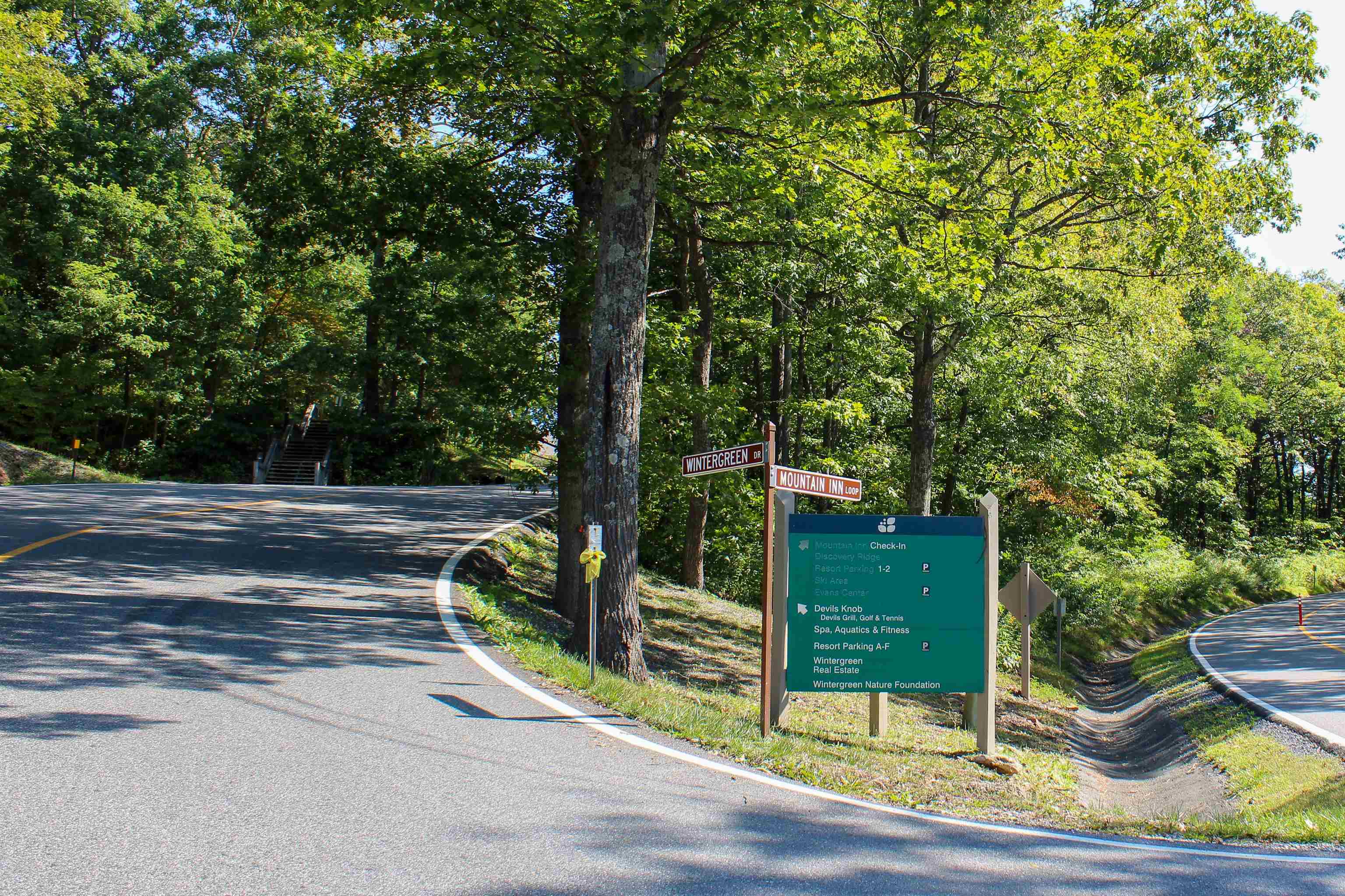 781 DEVILS KNOB LOOP, WINTERGREEN RESORT, Virginia 22967, 3 Bedrooms Bedrooms, ,3 BathroomsBathrooms,Residential,781 DEVILS KNOB LOOP,669248 MLS # 669248