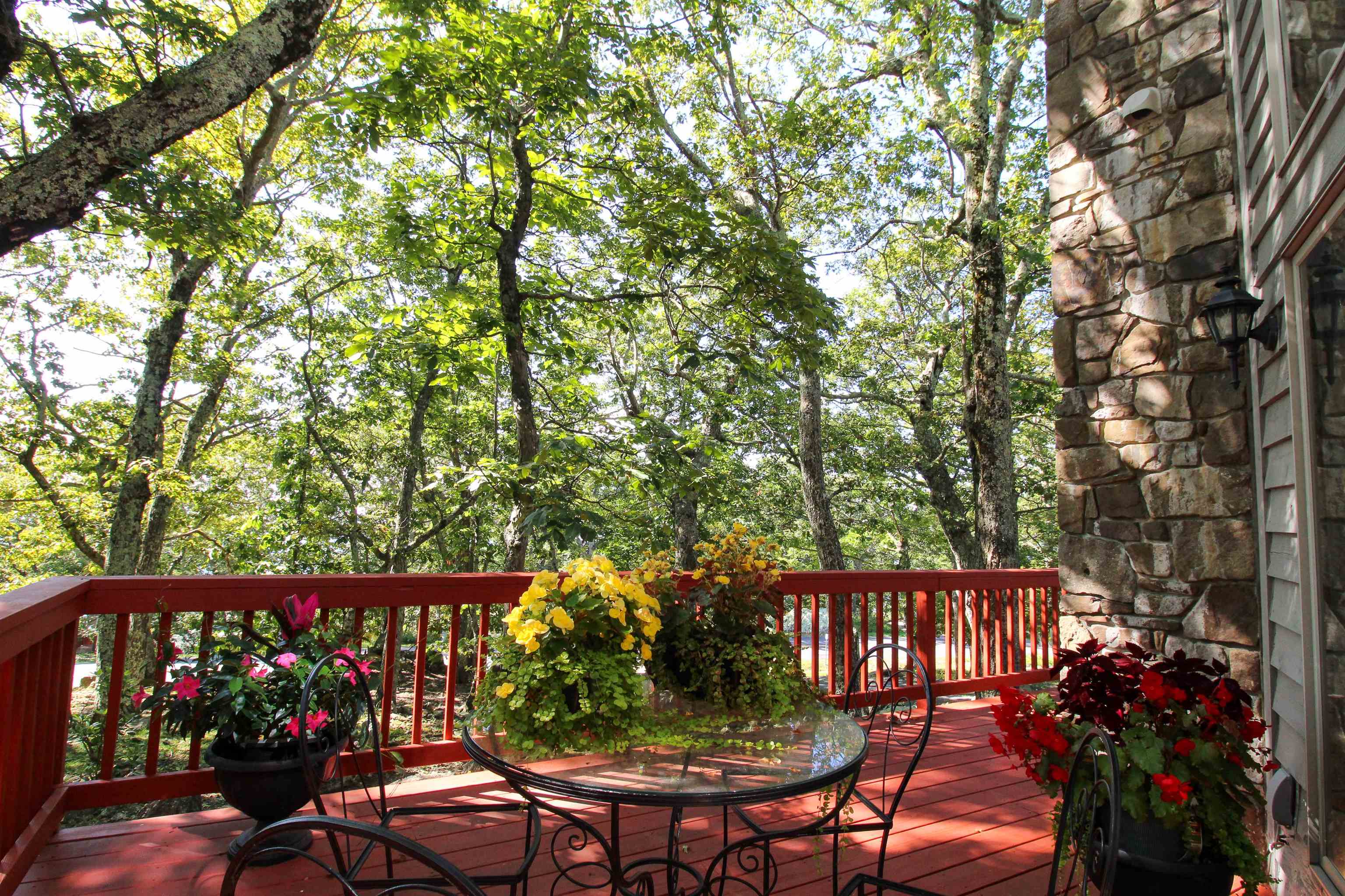 781 DEVILS KNOB LOOP, WINTERGREEN RESORT, Virginia 22967, 3 Bedrooms Bedrooms, ,3 BathroomsBathrooms,Residential,781 DEVILS KNOB LOOP,669248 MLS # 669248