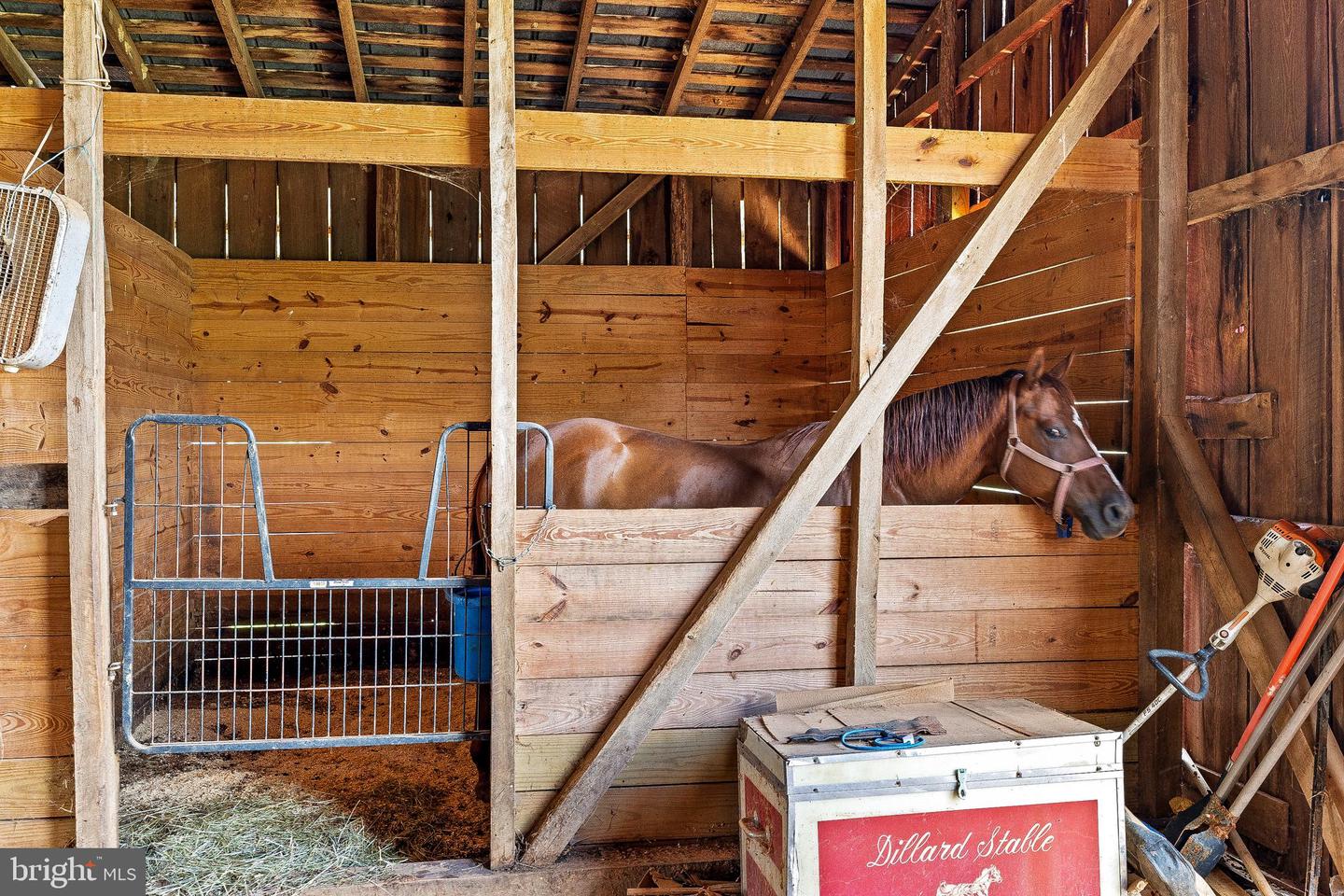 (LYON FARMS) BIBB STORE RD, LOUISA, Virginia 23093, 3 Bedrooms Bedrooms, ,2 BathroomsBathrooms,Farm,For sale,(LYON FARMS) BIBB STORE RD,VALA2008566 MLS # VALA2008566