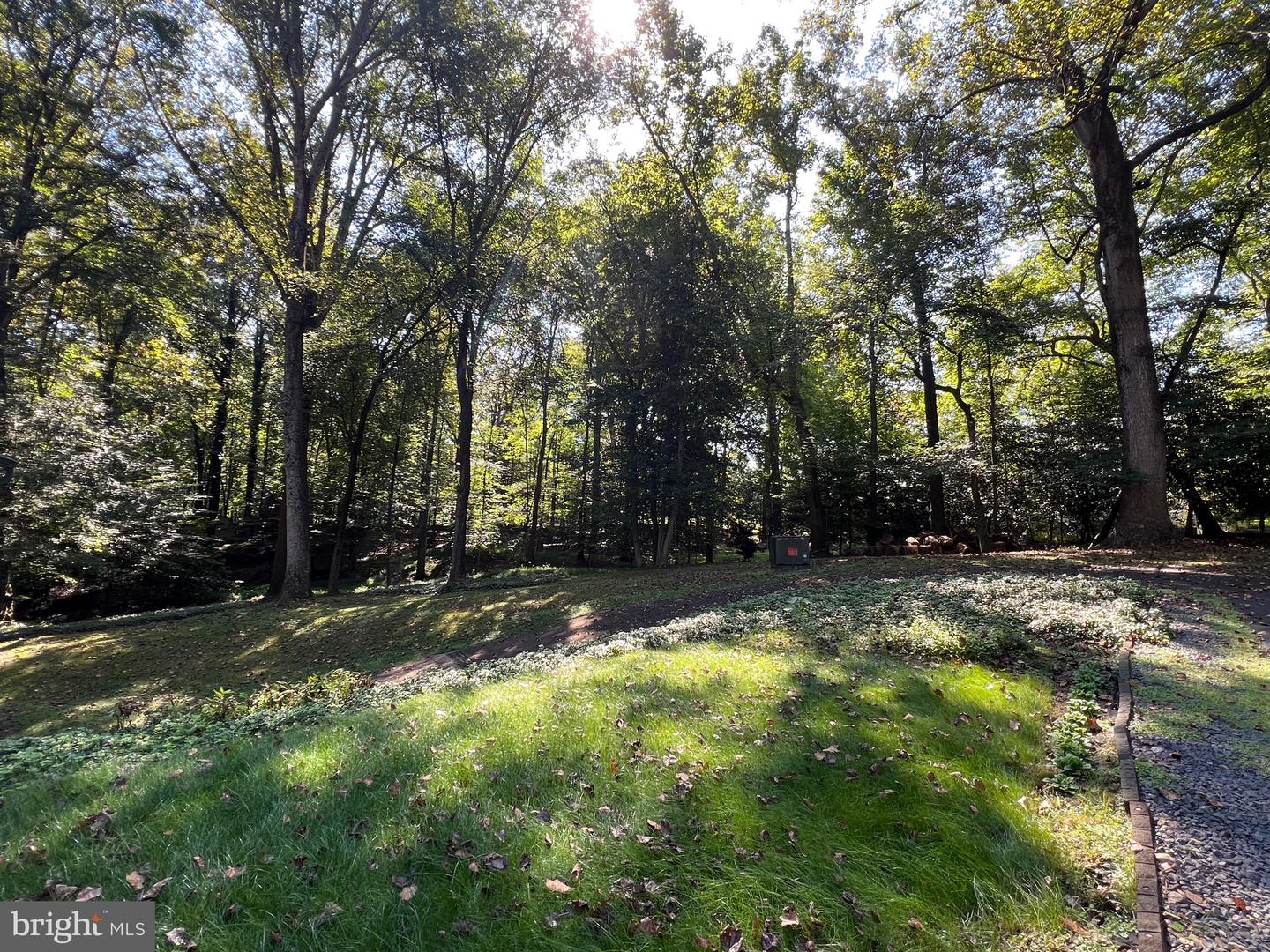 247 SPRINGVALE RD, GREAT FALLS, Virginia 22066, 4 Bedrooms Bedrooms, ,4 BathroomsBathrooms,Residential,For sale,247 SPRINGVALE RD,VAFX2266446 MLS # VAFX2266446