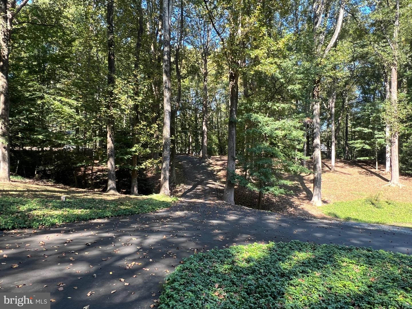 247 SPRINGVALE RD, GREAT FALLS, Virginia 22066, 4 Bedrooms Bedrooms, ,4 BathroomsBathrooms,Residential,For sale,247 SPRINGVALE RD,VAFX2266446 MLS # VAFX2266446
