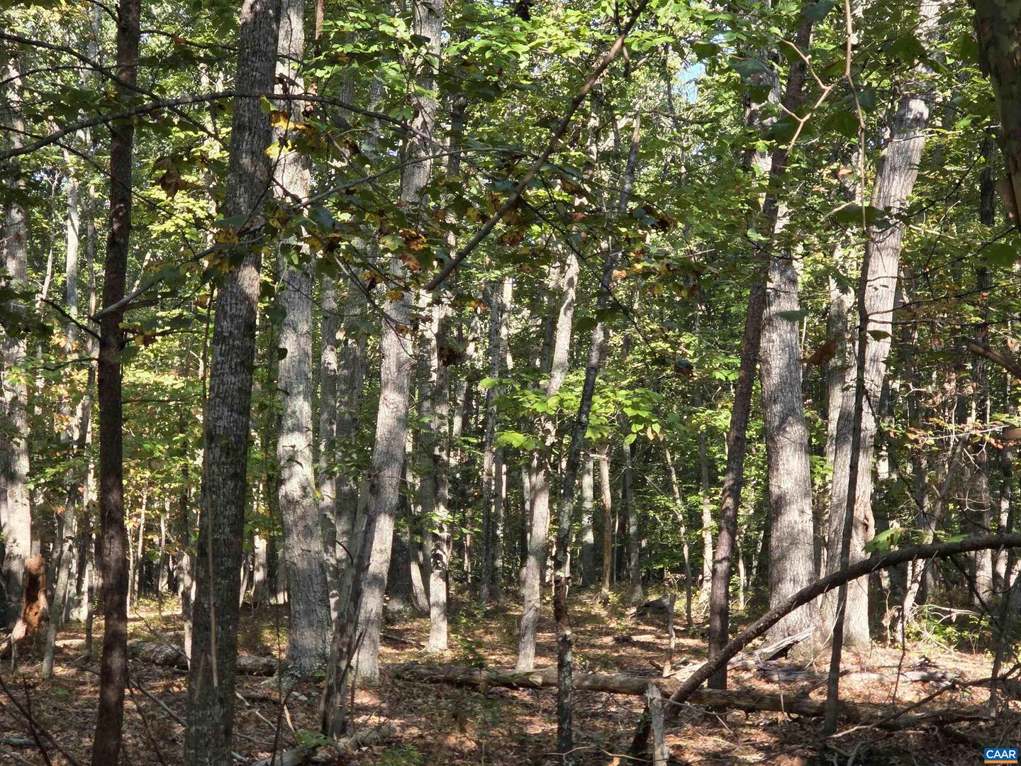 388 MAHANES RD, GORDONSVILLE, Virginia 22942, ,Land,For sale,388 MAHANES RD,669258 MLS # 669258