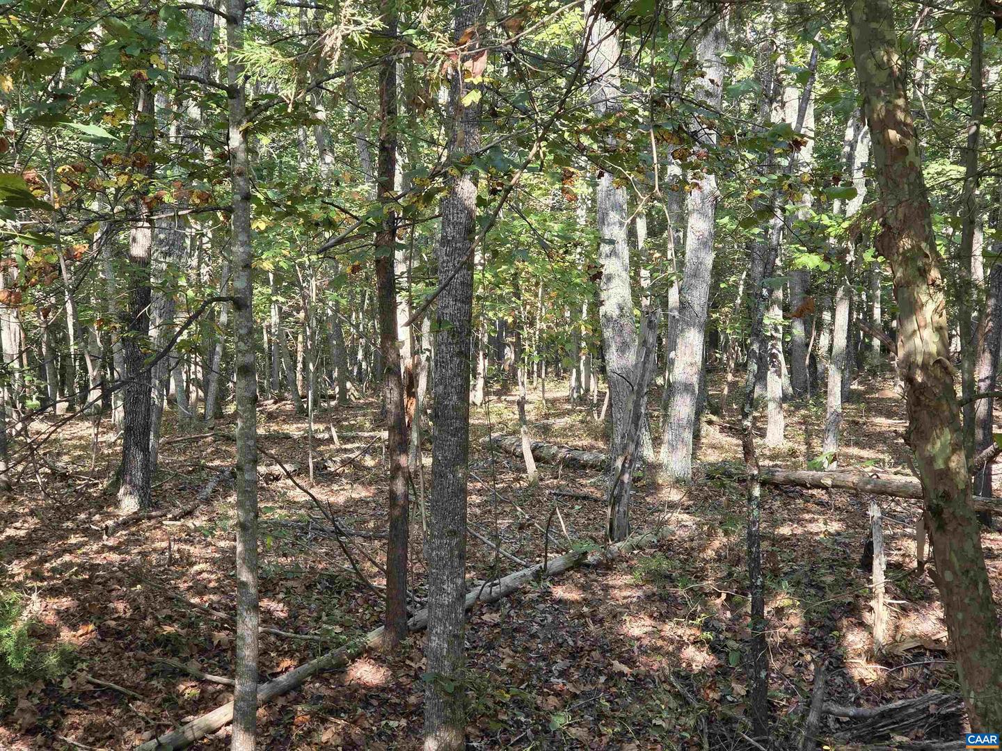 388 MAHANES RD, GORDONSVILLE, Virginia 22942, ,Land,For sale,388 MAHANES RD,669258 MLS # 669258