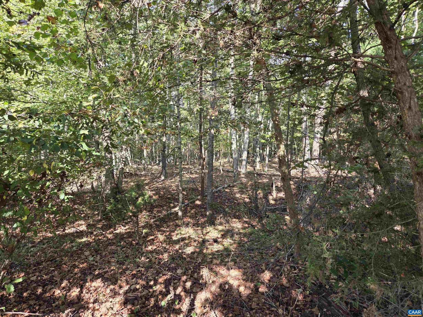 388 MAHANES RD, GORDONSVILLE, Virginia 22942, ,Land,For sale,388 MAHANES RD,669258 MLS # 669258