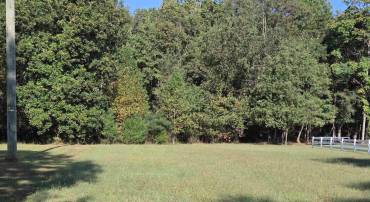 388 MAHANES RD, GORDONSVILLE, Virginia 22942, ,Land,For sale,388 MAHANES RD,669258 MLS # 669258