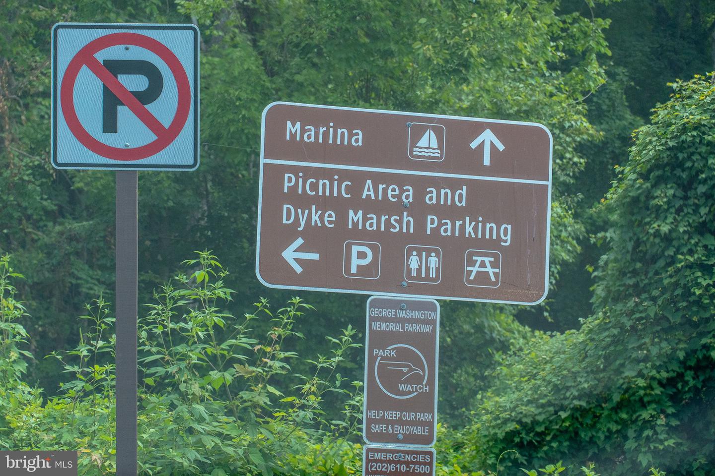 6725 W WAKEFIELD DR #B1, ALEXANDRIA, Virginia 22307, 2 Bedrooms Bedrooms, ,1 BathroomBathrooms,Residential,For sale,6725 W WAKEFIELD DR #B1,VAFX2267912 MLS # VAFX2267912 6725 W WAKEFIELD DR #B1, ALEXANDRIA, Virginia 22307, 2 Bedrooms Bedrooms, ,1 BathroomBathrooms,Residential,For sale,6725 W WAKEFIELD DR #B1,VAFX2267912 MLS # VAFX2267912