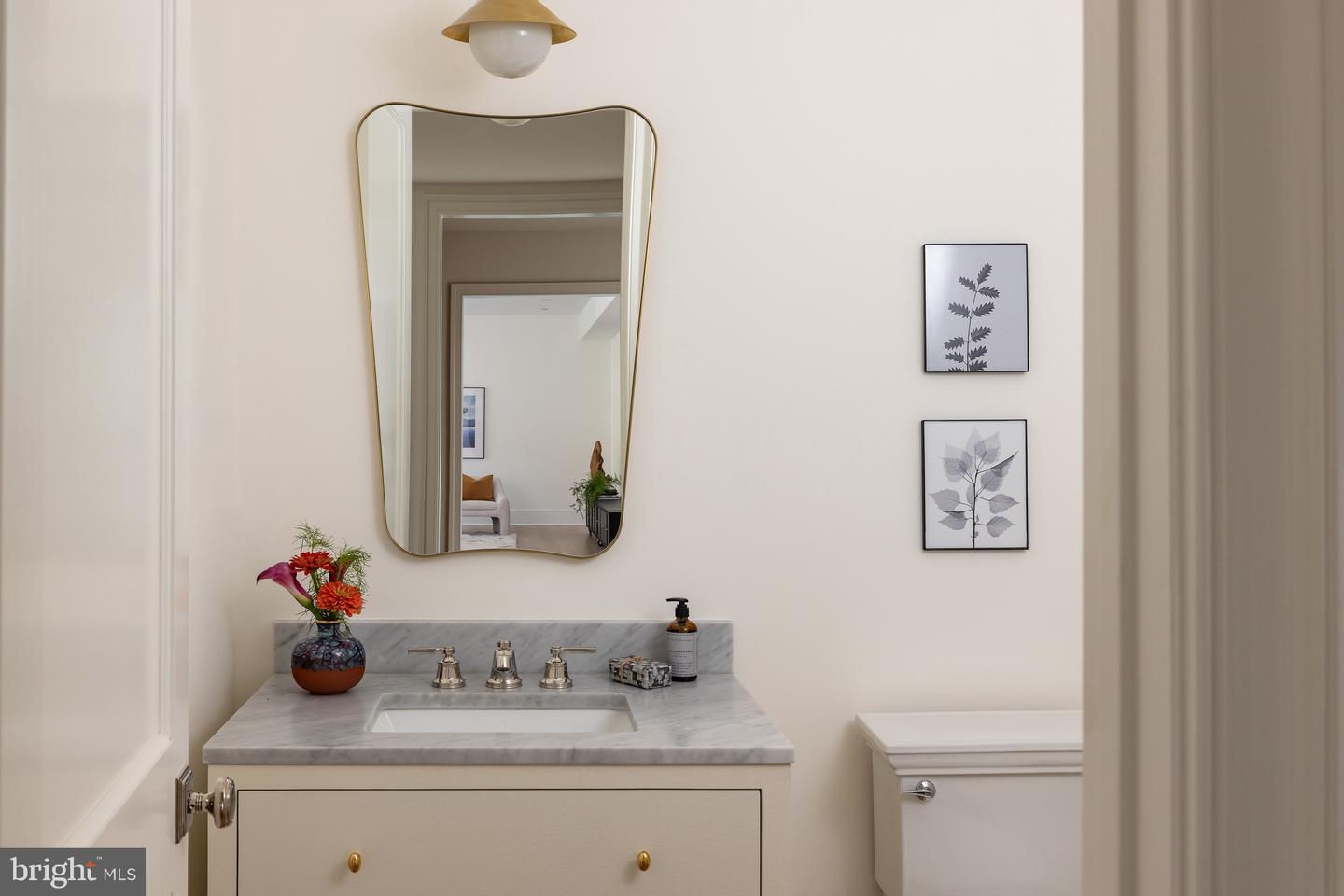 2934 ELLICOTT TER NW, WASHINGTON, District Of Columbia 20008, 8 Bedrooms Bedrooms, ,6 BathroomsBathrooms,Residential,For sale,2934 ELLICOTT TER NW,DCDC2223146 MLS # DCDC2223146