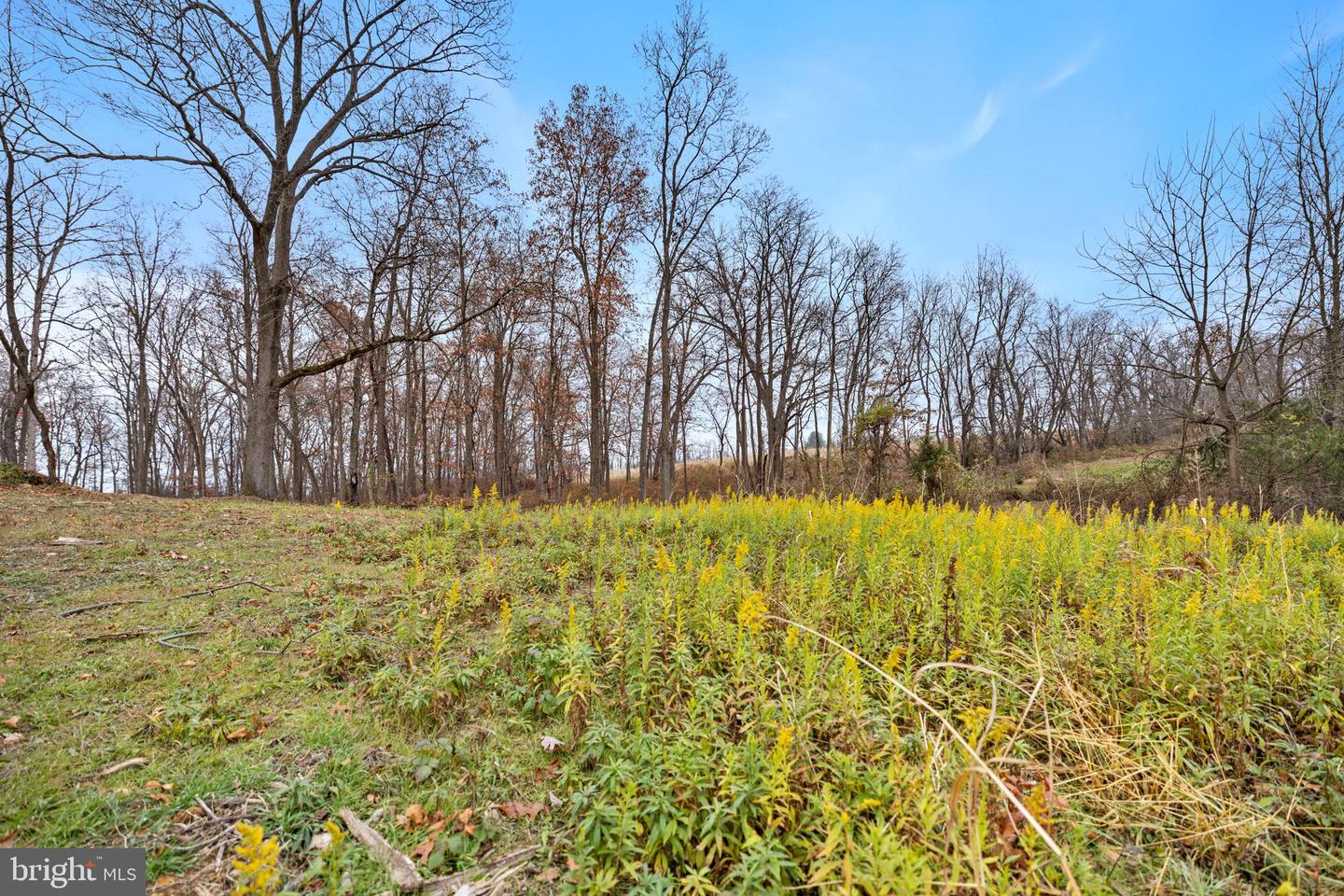 126 CHICKADEE CT, WOODSTOCK, Virginia 22664, 2 Bedrooms Bedrooms, ,2 BathroomsBathrooms,Residential,For sale,126 CHICKADEE CT,VASH2012578 MLS # VASH2012578 126 CHICKADEE CT, WOODSTOCK, Virginia 22664, 2 Bedrooms Bedrooms, ,2 BathroomsBathrooms,Residential,For sale,126 CHICKADEE CT,VASH2012578 MLS # VASH2012578