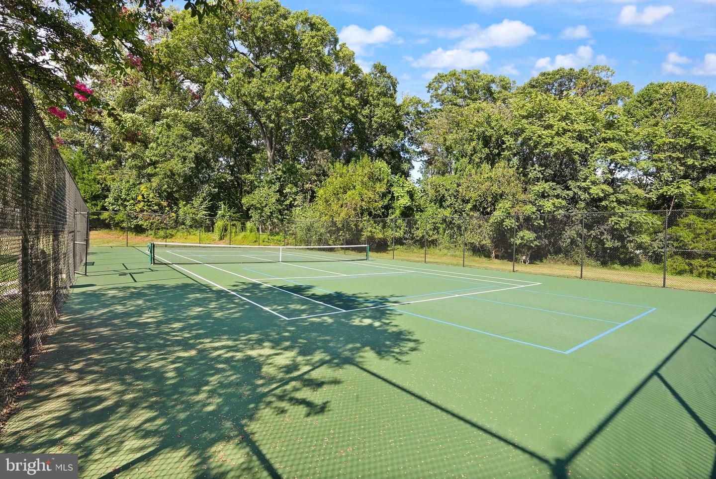 7483 LAKE WILLOW CT, WARRENTON, Virginia 20187, 7 Bedrooms Bedrooms, ,5 BathroomsBathrooms,Residential,For sale,7483 LAKE WILLOW CT,VAFQ2018370 MLS # VAFQ2018370 7483 LAKE WILLOW CT, WARRENTON, Virginia 20187, 7 Bedrooms Bedrooms, ,5 BathroomsBathrooms,Residential,For sale,7483 LAKE WILLOW CT,VAFQ2018370 MLS # VAFQ2018370