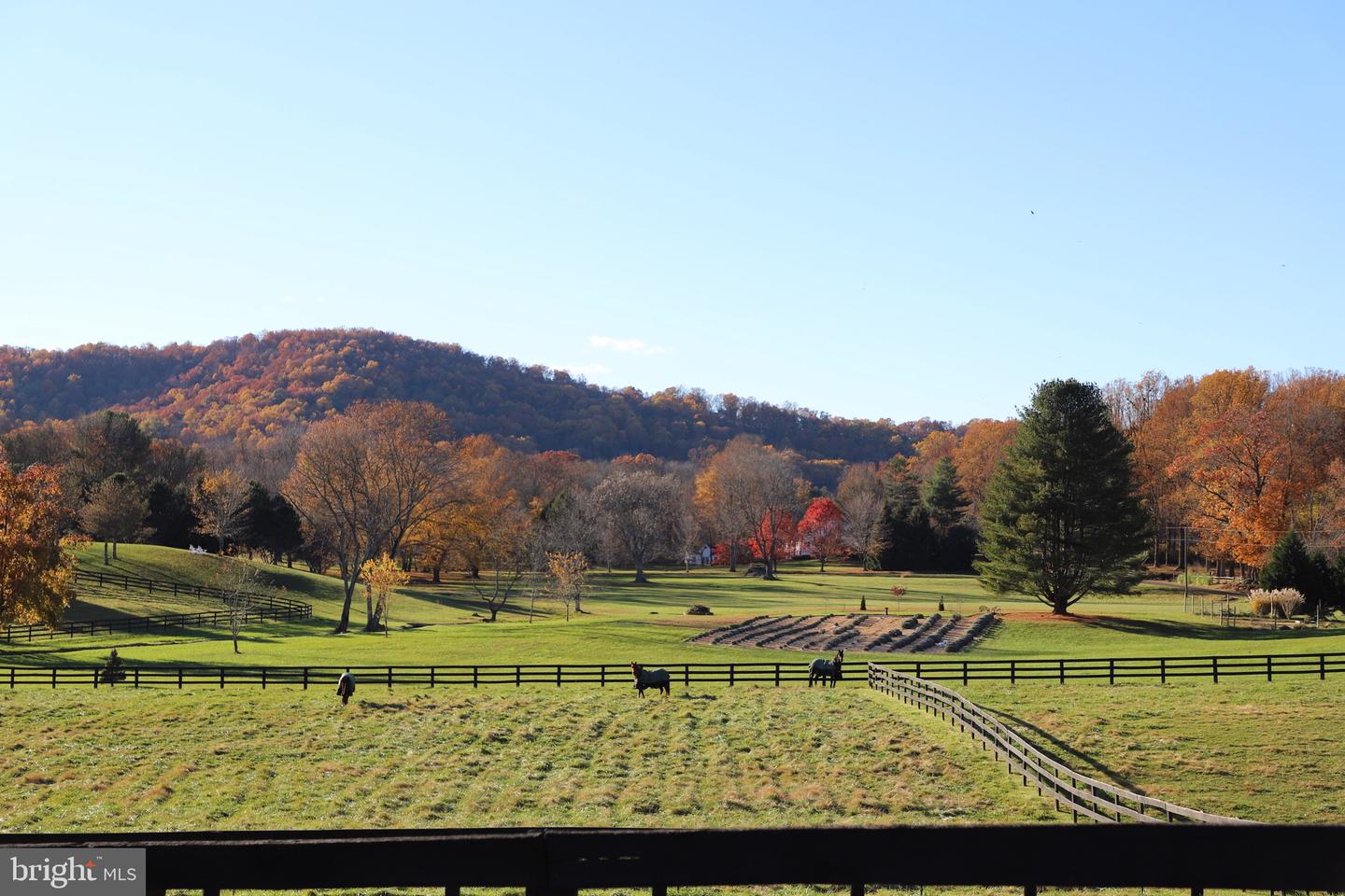 3924 COBBLER MOUNTAIN RD, DELAPLANE, Virginia 20144, 5 Bedrooms Bedrooms, ,3 BathroomsBathrooms,Residential,For sale,3924 COBBLER MOUNTAIN RD,VAFQ2018392 MLS # VAFQ2018392