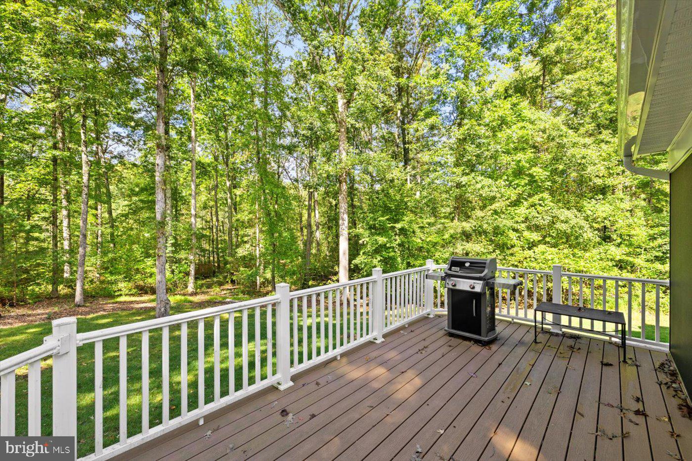 201 FLEETER ST, MINERAL, Virginia 23117, 4 Bedrooms Bedrooms, 17 Rooms Rooms,3 BathroomsBathrooms,Residential,For sale,201 FLEETER ST,VALA2008594 MLS # VALA2008594