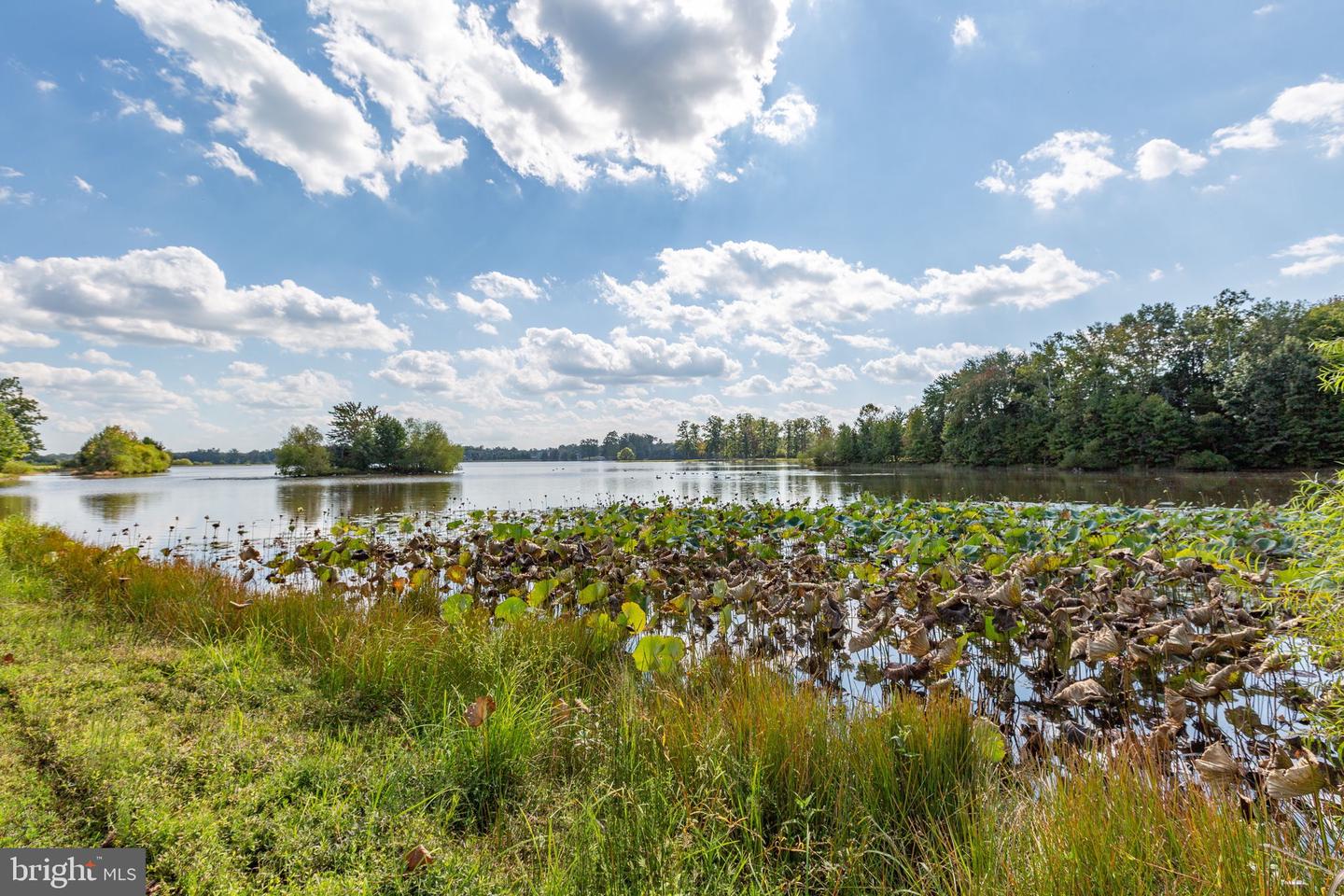 7116 LAKE DR, WARRENTON, Virginia 20187, 4 Bedrooms Bedrooms, 18 Rooms Rooms,4 BathroomsBathrooms,Residential,For sale,7116 LAKE DR,VAFQ2018366 MLS # VAFQ2018366