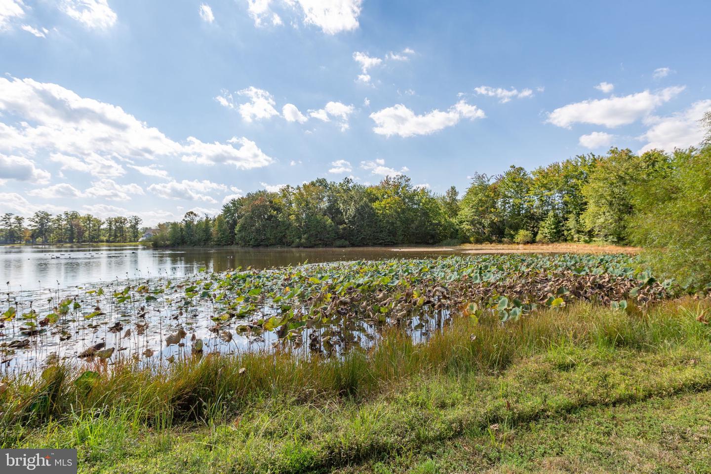 7116 LAKE DR, WARRENTON, Virginia 20187, 4 Bedrooms Bedrooms, 18 Rooms Rooms,4 BathroomsBathrooms,Residential,For sale,7116 LAKE DR,VAFQ2018366 MLS # VAFQ2018366