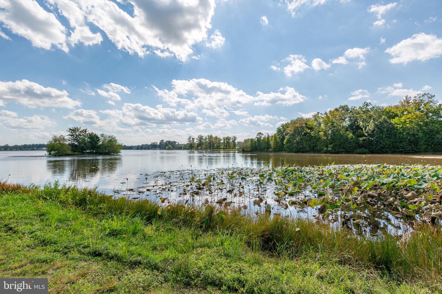 7116 LAKE DR, WARRENTON, Virginia 20187, 4 Bedrooms Bedrooms, 18 Rooms Rooms,4 BathroomsBathrooms,Residential,For sale,7116 LAKE DR,VAFQ2018366 MLS # VAFQ2018366