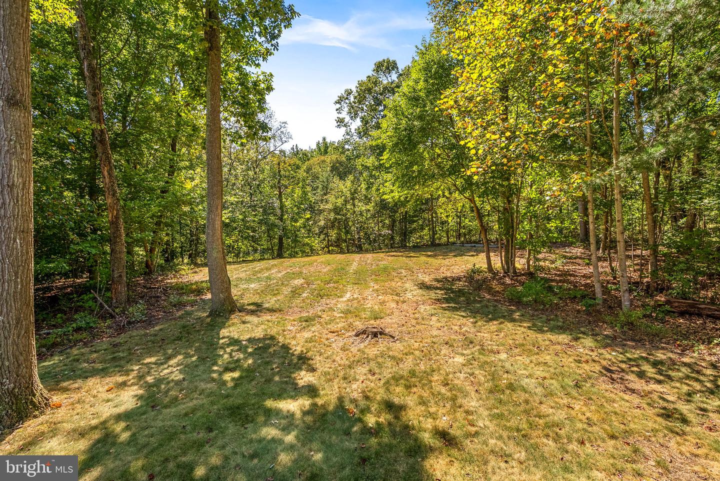20589 MYERS PL, LEESBURG, Virginia 20175, 5 Bedrooms Bedrooms, ,4 BathroomsBathrooms,Residential,For sale,20589 MYERS PL,VALO2107404 MLS # VALO2107404 20589 MYERS PL, LEESBURG, Virginia 20175, 5 Bedrooms Bedrooms, ,4 BathroomsBathrooms,Residential,For sale,20589 MYERS PL,VALO2107404 MLS # VALO2107404