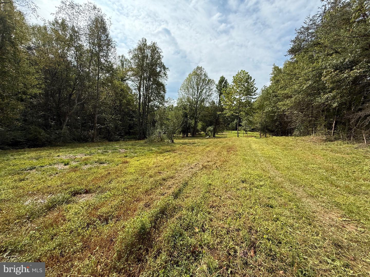 6360 THARP RD, CULPEPER, Virginia 22701, ,Land,For sale,6360 THARP RD,VACU2011648 MLS # VACU2011648