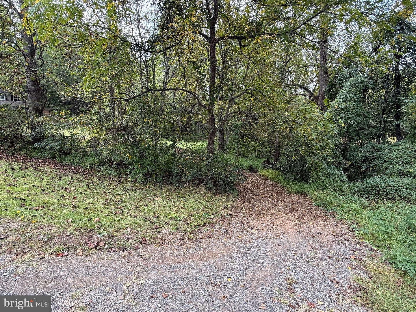 6360 THARP RD, CULPEPER, Virginia 22701, ,Land,For sale,6360 THARP RD,VACU2011648 MLS # VACU2011648