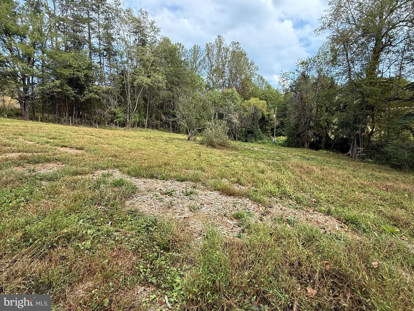 6360 THARP RD, CULPEPER, Virginia 22701, ,Land,For sale,6360 THARP RD,VACU2011648 MLS # VACU2011648