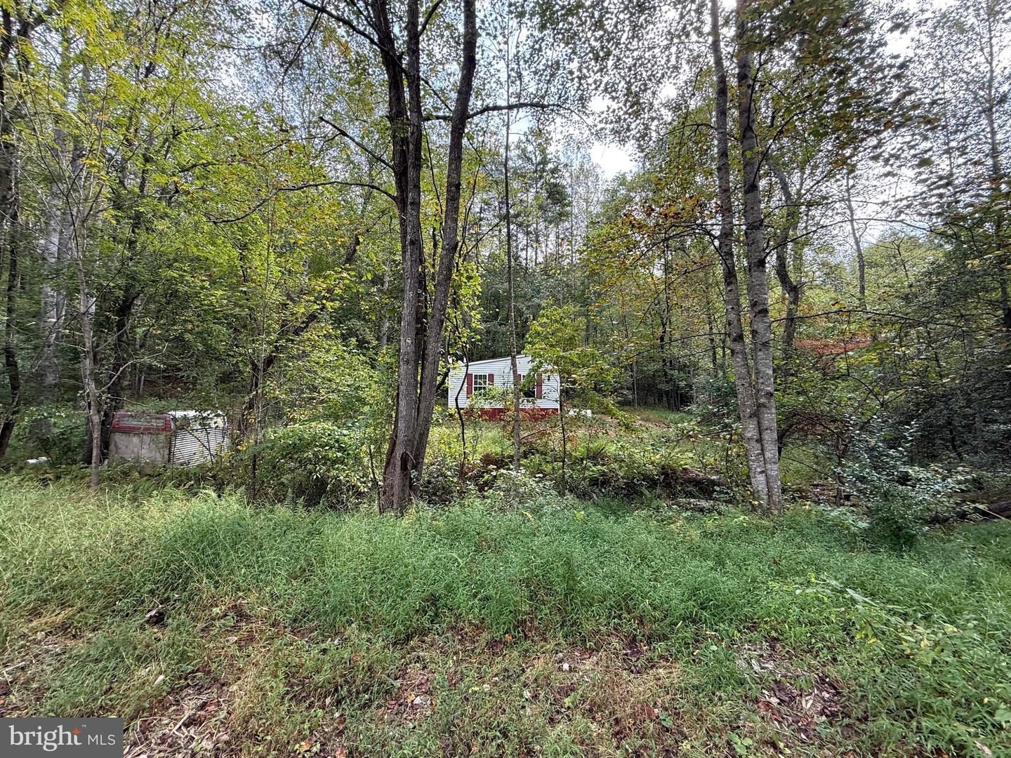 6360 THARP RD, CULPEPER, Virginia 22701, ,Land,For sale,6360 THARP RD,VACU2011648 MLS # VACU2011648