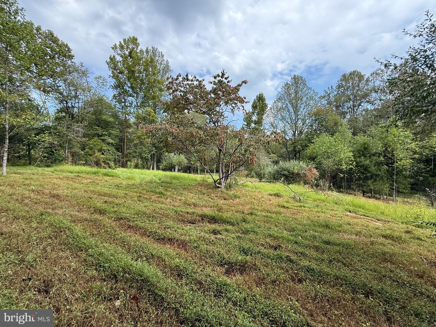 6360 THARP RD, CULPEPER, Virginia 22701, ,Land,For sale,6360 THARP RD,VACU2011648 MLS # VACU2011648