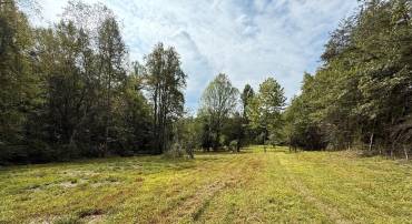 6360 THARP RD, CULPEPER, Virginia 22701, ,Land,For sale,6360 THARP RD,VACU2011648 MLS # VACU2011648