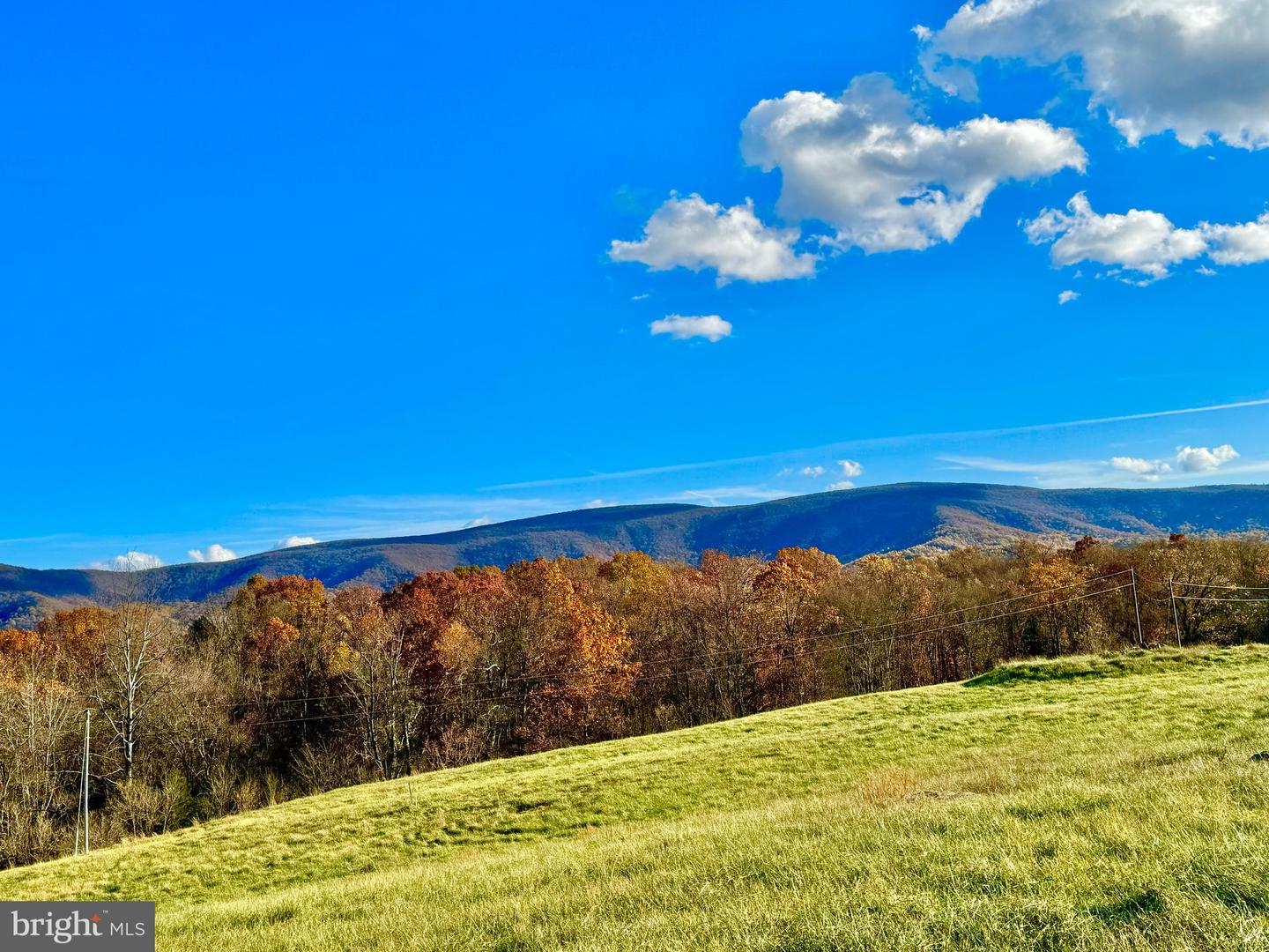 LOT 63 BUCK MOUNTAIN RD, BENTONVILLE, Virginia 22610, ,Land,For sale,LOT 63 BUCK MOUNTAIN RD,VAWR2012402 MLS # VAWR2012402