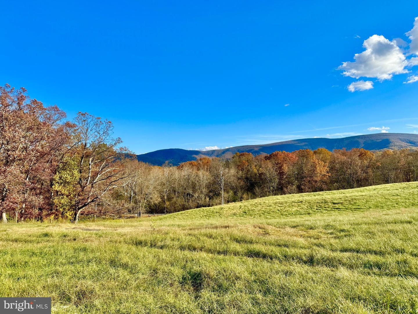 LOT 63 BUCK MOUNTAIN RD, BENTONVILLE, Virginia 22610, ,Land,For sale,LOT 63 BUCK MOUNTAIN RD,VAWR2012402 MLS # VAWR2012402