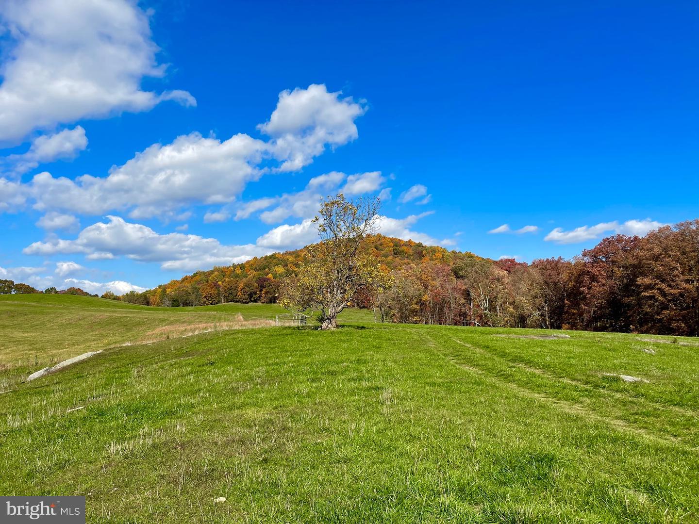 LOT 63 BUCK MOUNTAIN RD, BENTONVILLE, Virginia 22610, ,Land,For sale,LOT 63 BUCK MOUNTAIN RD,VAWR2012402 MLS # VAWR2012402