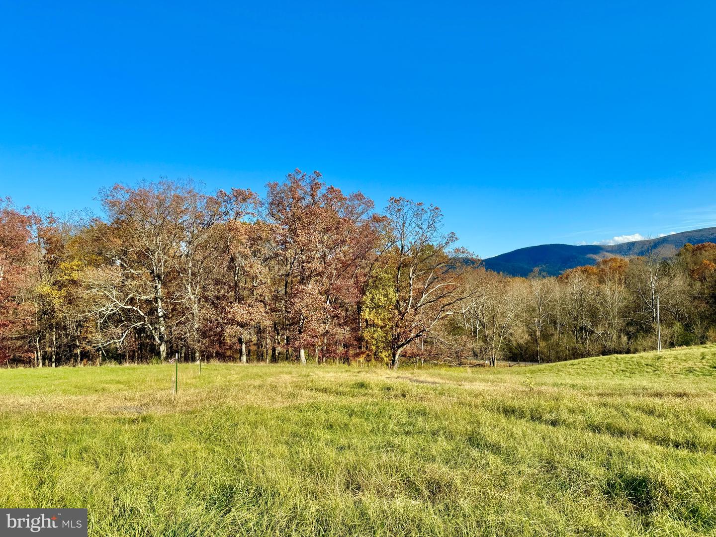 LOT 63 BUCK MOUNTAIN RD, BENTONVILLE, Virginia 22610, ,Land,For sale,LOT 63 BUCK MOUNTAIN RD,VAWR2012402 MLS # VAWR2012402