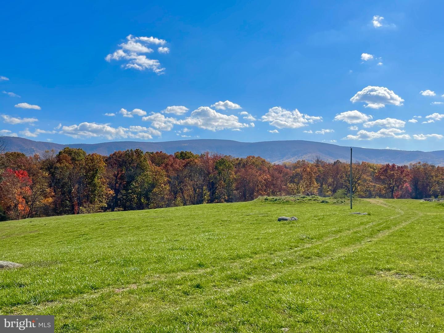 LOT 63 BUCK MOUNTAIN RD, BENTONVILLE, Virginia 22610, ,Land,For sale,LOT 63 BUCK MOUNTAIN RD,VAWR2012402 MLS # VAWR2012402