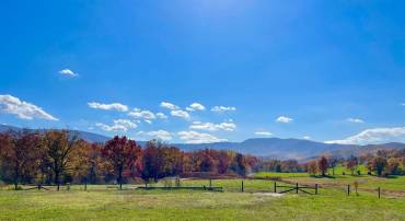 LOT 63 BUCK MOUNTAIN RD, BENTONVILLE, Virginia 22610, ,Land,For sale,LOT 63 BUCK MOUNTAIN RD,VAWR2012402 MLS # VAWR2012402