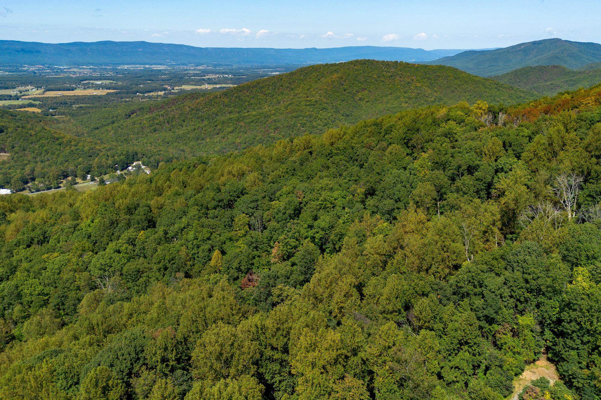 TBD FOREST HOMES DR, ELKTON, Virginia 22827, ,Land,TBD FOREST HOMES DR,669296 MLS # 669296