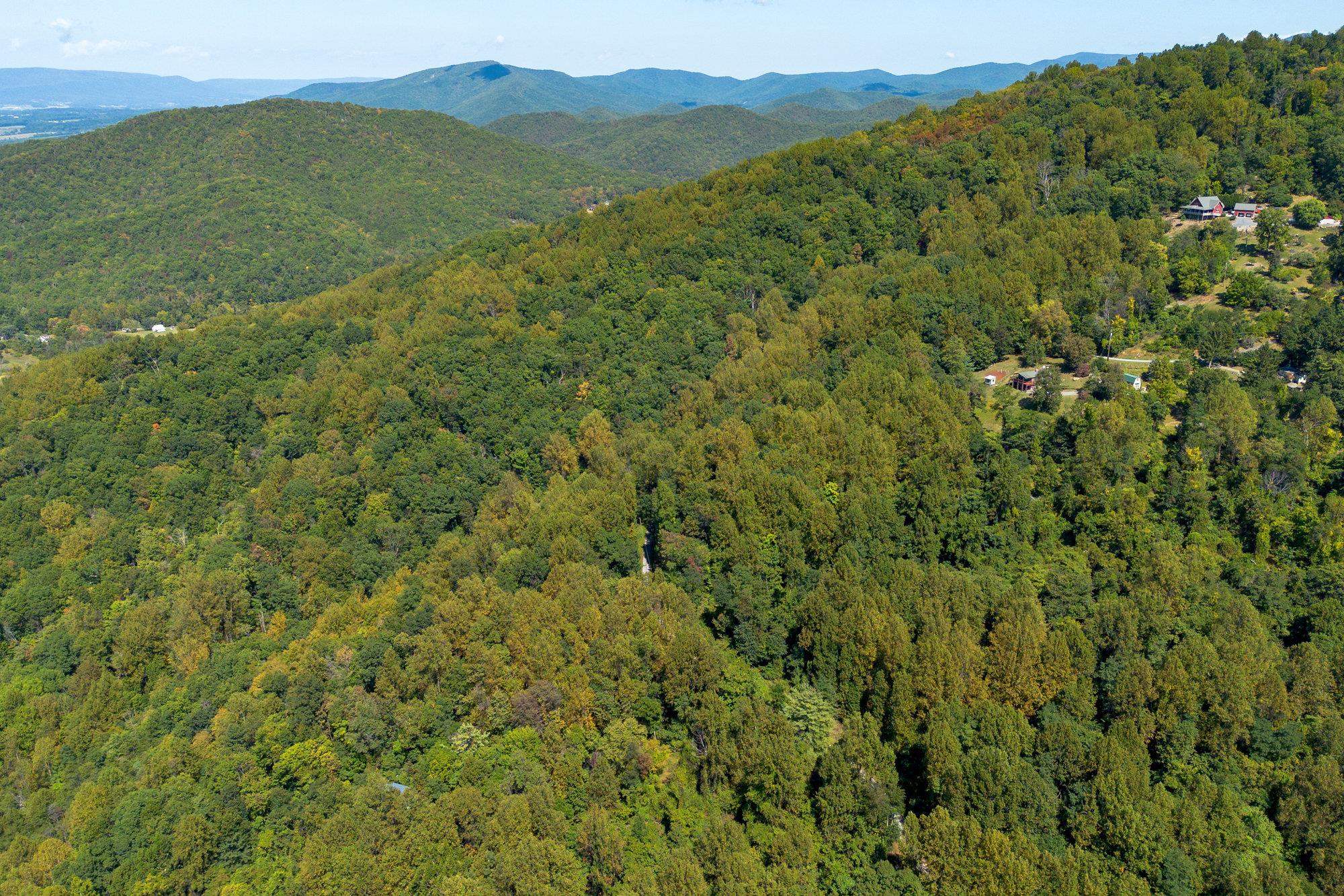 TBD FOREST HOMES DR, ELKTON, Virginia 22827, ,Land,TBD FOREST HOMES DR,669296 MLS # 669296