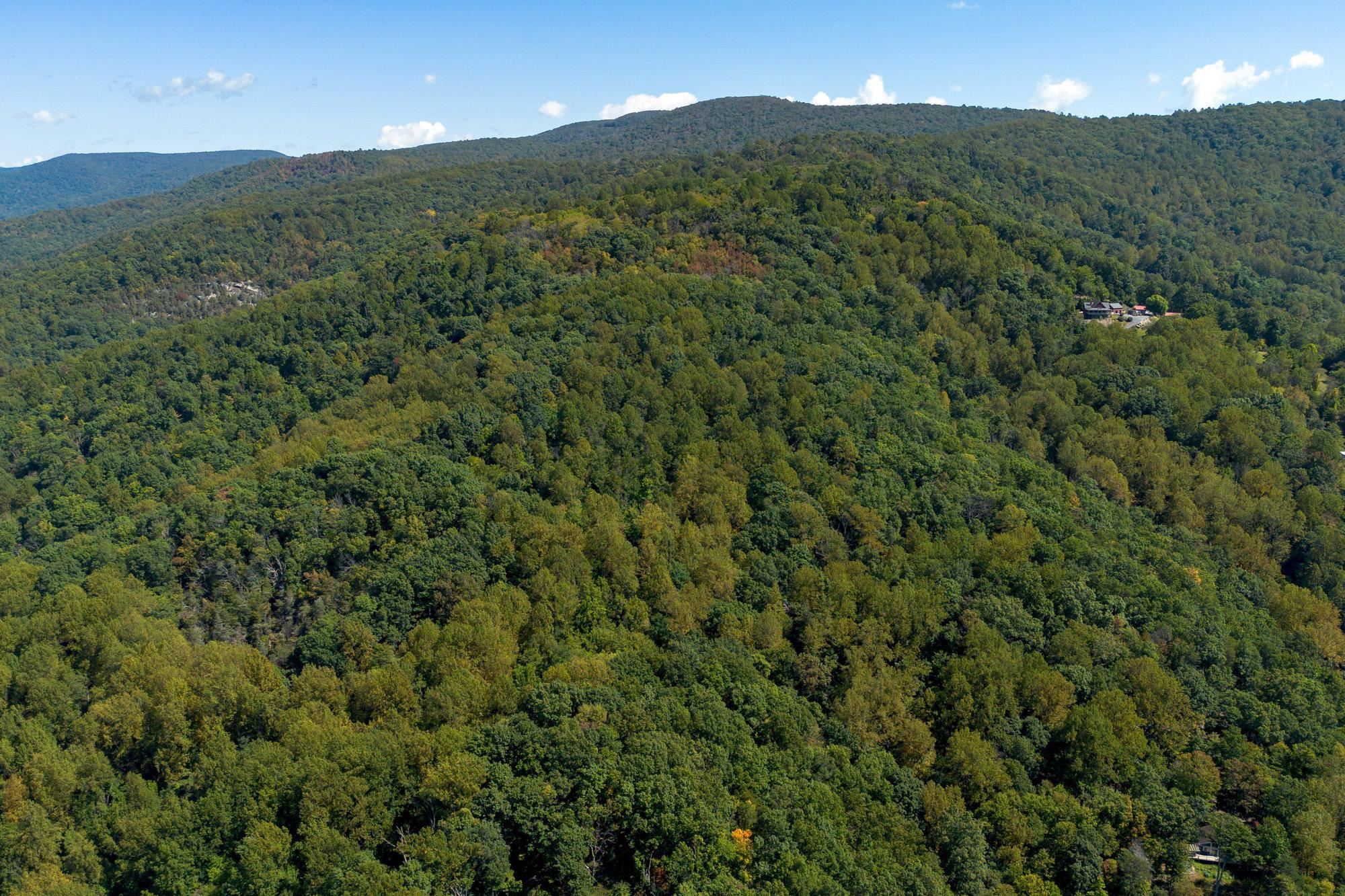 TBD FOREST HOMES DR, ELKTON, Virginia 22827, ,Land,TBD FOREST HOMES DR,669296 MLS # 669296