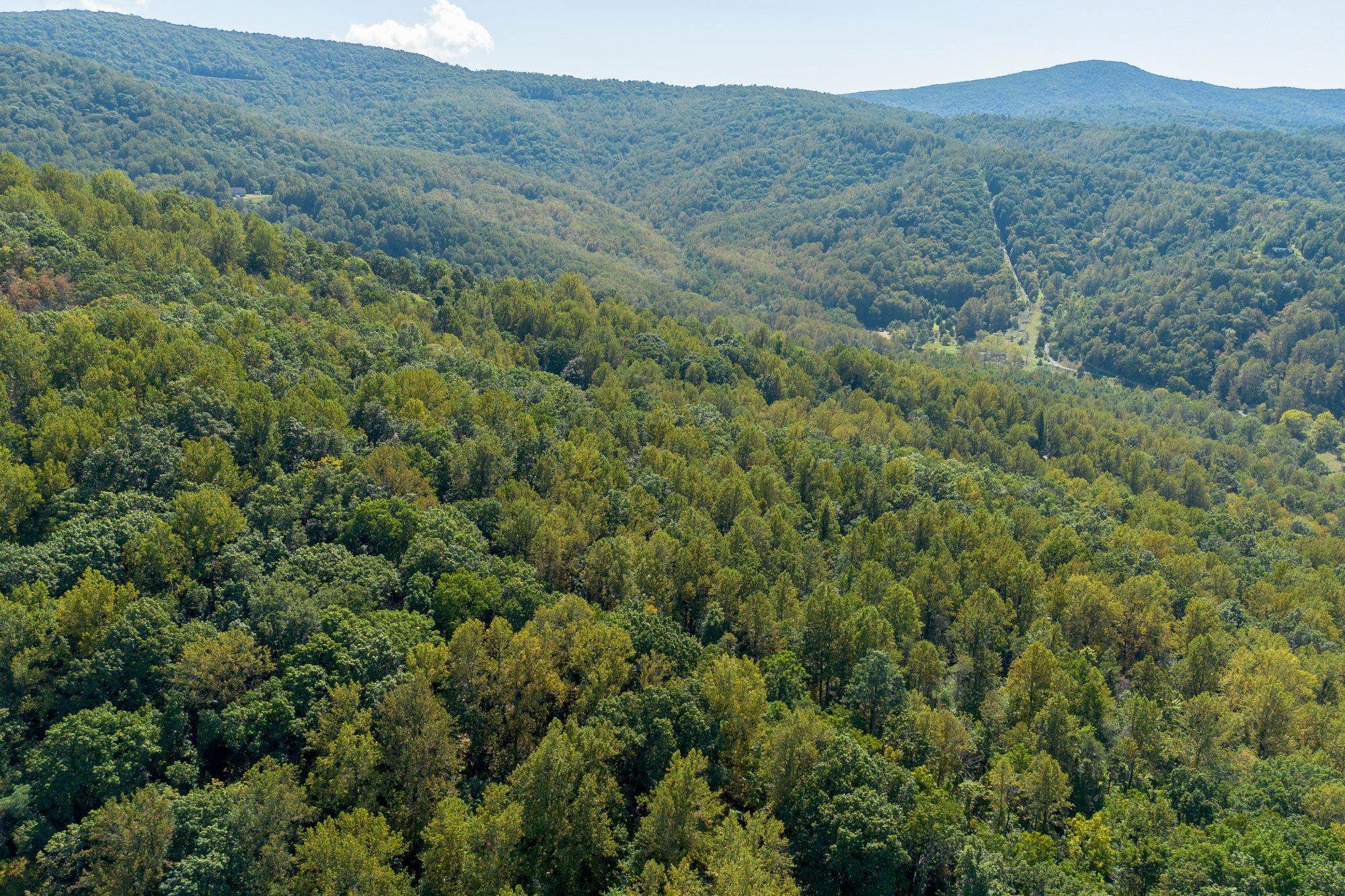 TBD FOREST HOMES DR, ELKTON, Virginia 22827, ,Land,TBD FOREST HOMES DR,669296 MLS # 669296