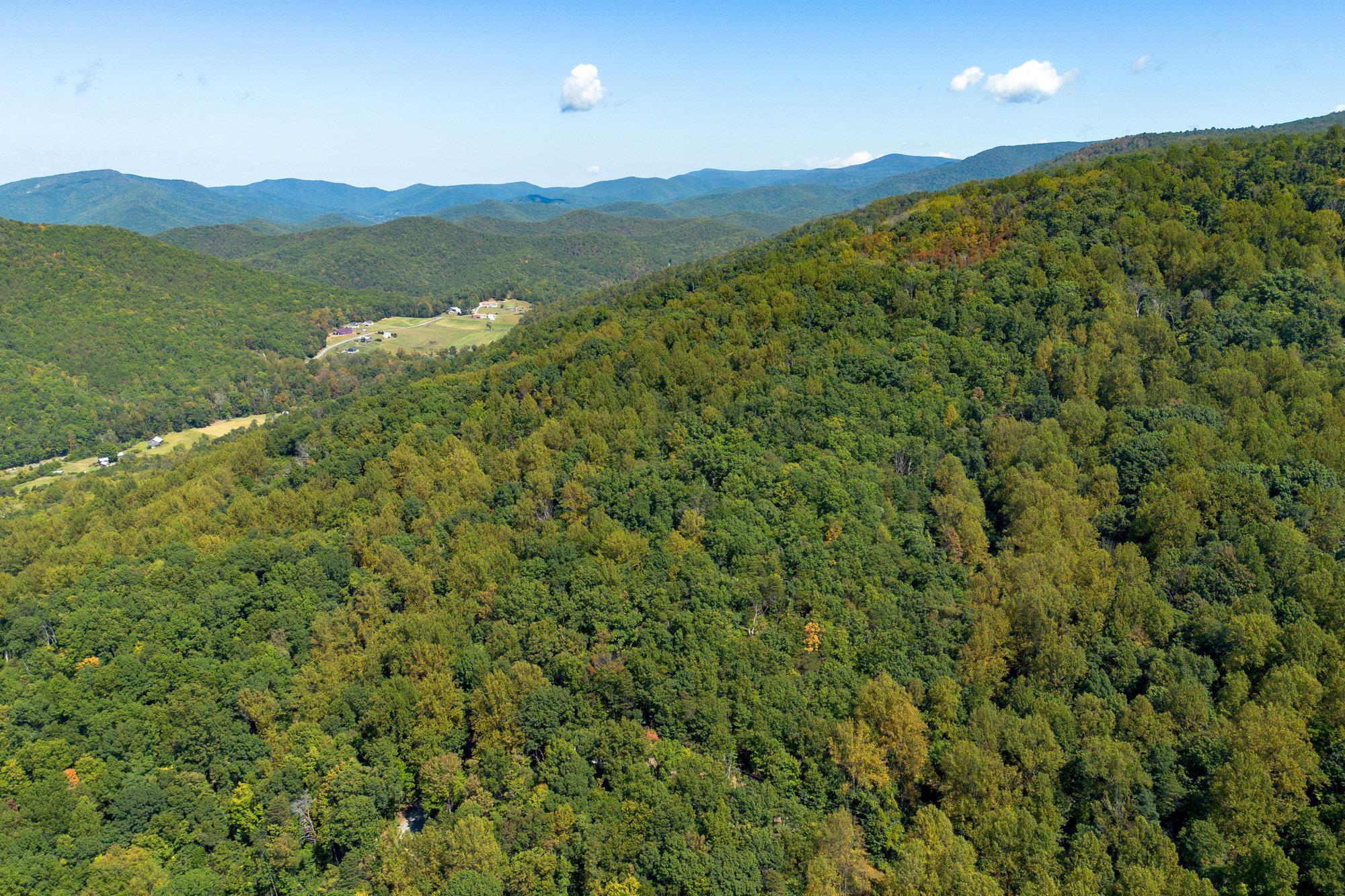 TBD FOREST HOMES DR, ELKTON, Virginia 22827, ,Land,TBD FOREST HOMES DR,669296 MLS # 669296