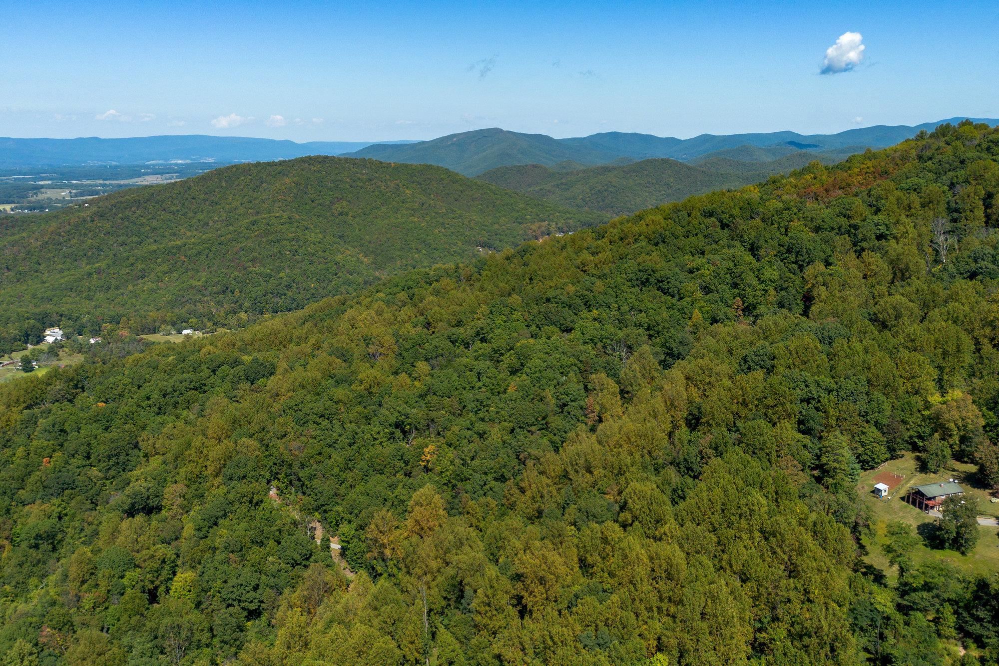 TBD FOREST HOMES DR, ELKTON, Virginia 22827, ,Land,TBD FOREST HOMES DR,669296 MLS # 669296