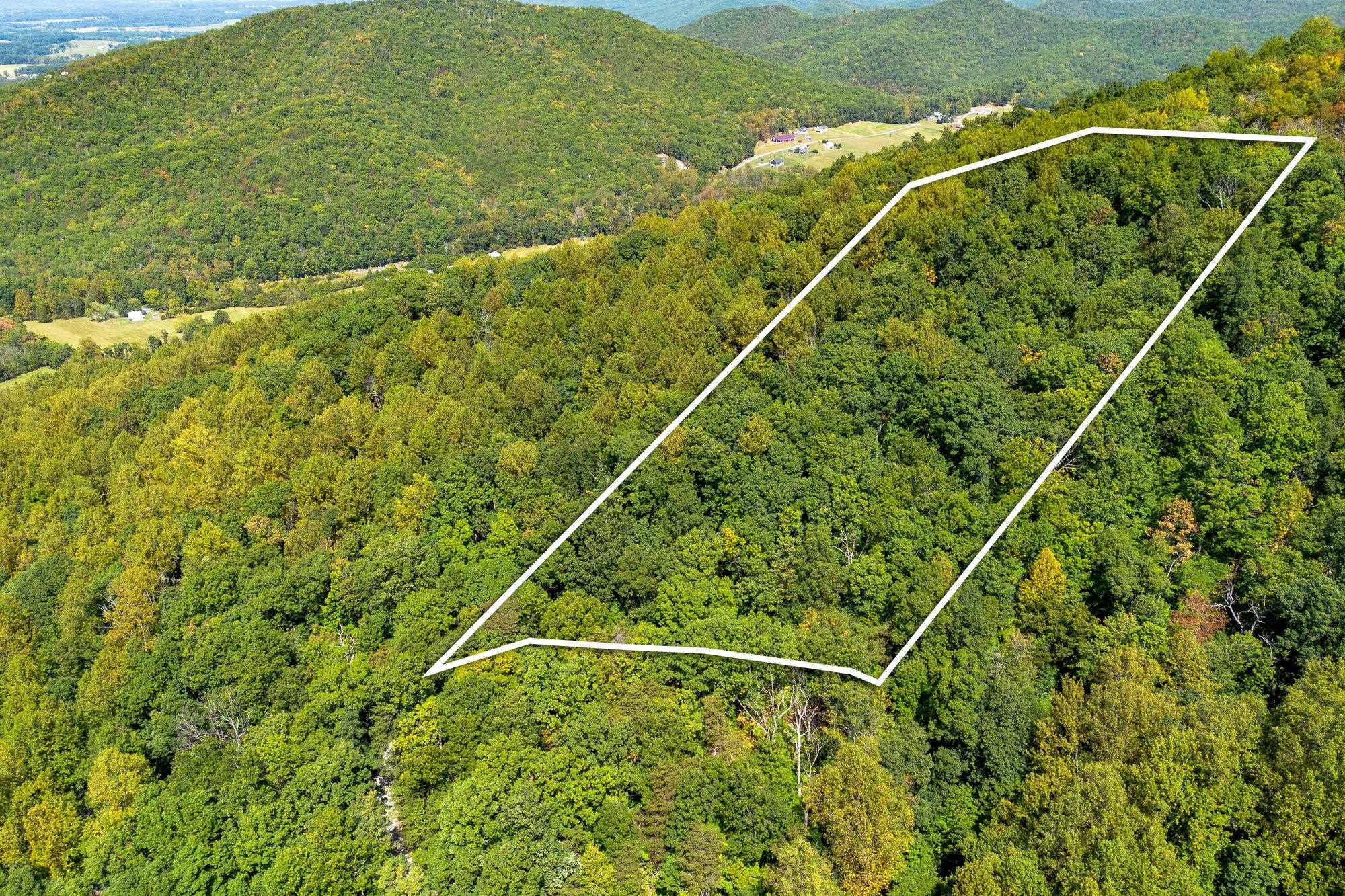 TBD FOREST HOMES DR, ELKTON, Virginia 22827, ,Land,TBD FOREST HOMES DR,669296 MLS # 669296