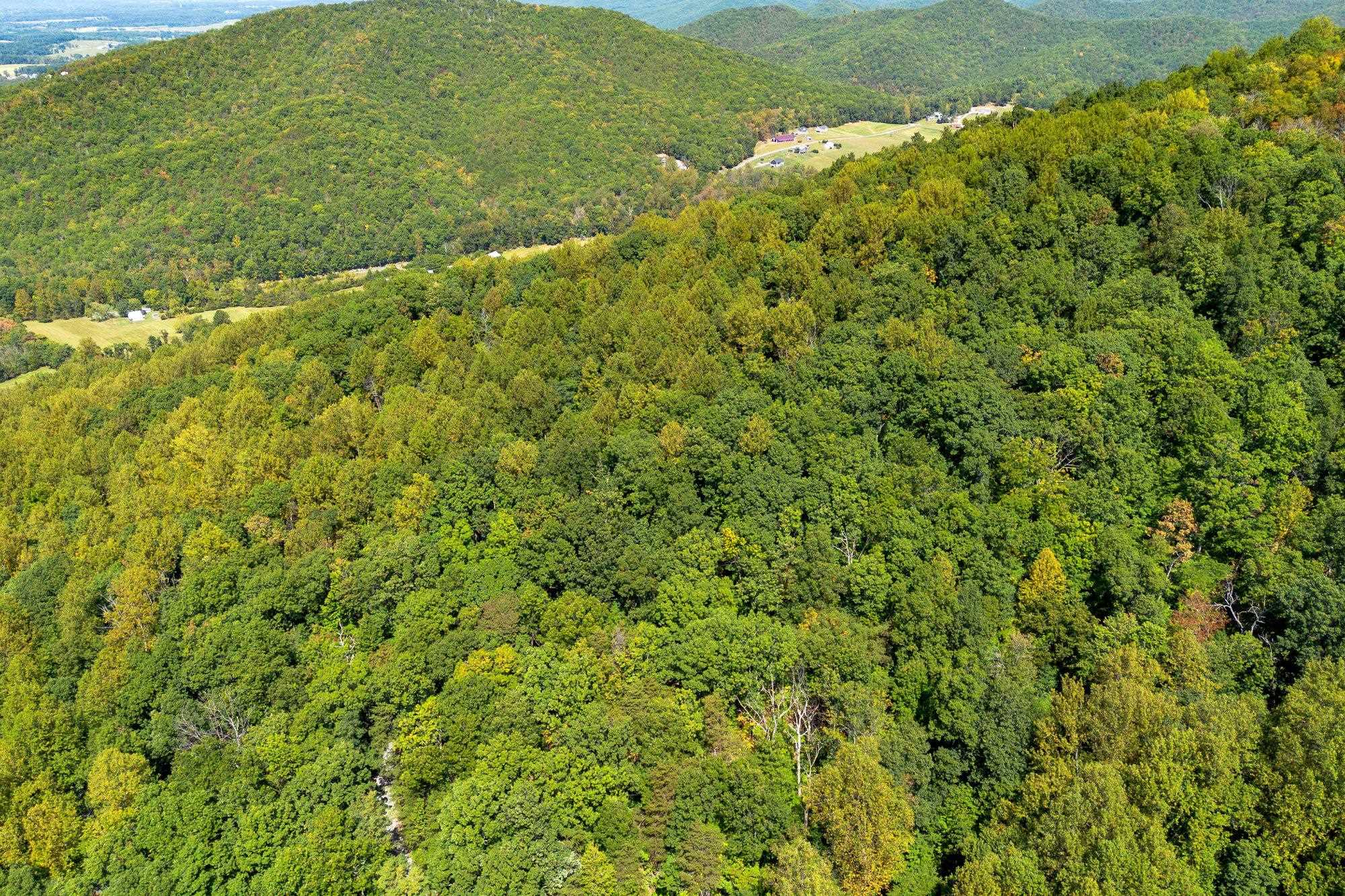 TBD FOREST HOMES DR, ELKTON, Virginia 22827, ,Land,TBD FOREST HOMES DR,669296 MLS # 669296