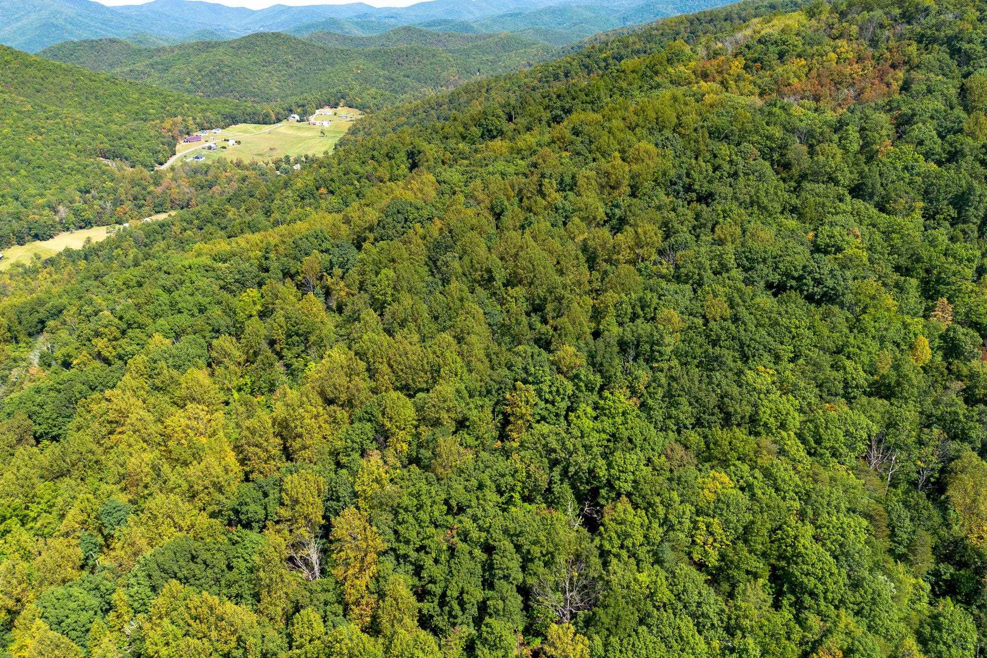 TBD FOREST HOMES DR, ELKTON, Virginia 22827, ,Land,TBD FOREST HOMES DR,669296 MLS # 669296
