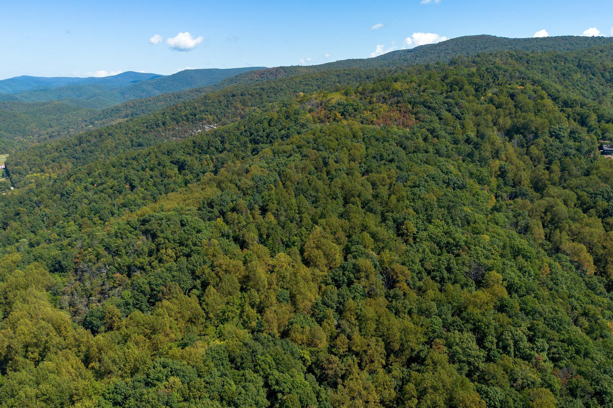 TBD FOREST HOMES DR, ELKTON, Virginia 22827, ,Land,TBD FOREST HOMES DR,669296 MLS # 669296
