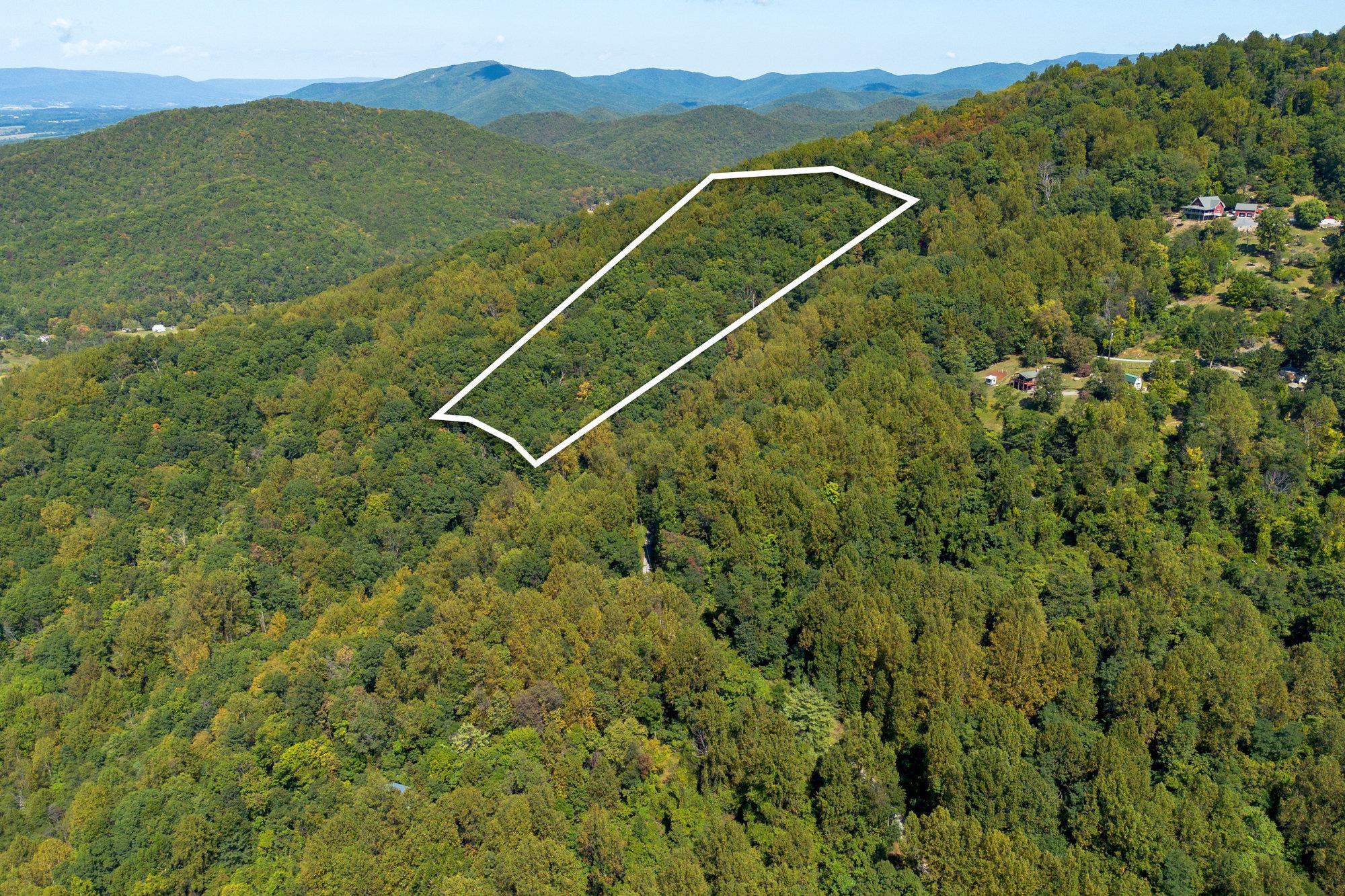 TBD FOREST HOMES DR, ELKTON, Virginia 22827, ,Land,TBD FOREST HOMES DR,669296 MLS # 669296