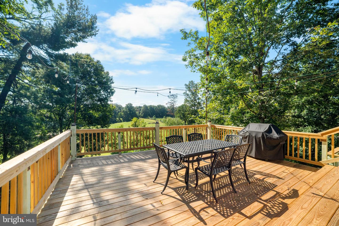 1318 LOCUST GROVE CHURCH RD, ORANGE, Virginia 22960, 5 Bedrooms Bedrooms, 19 Rooms Rooms,4 BathroomsBathrooms,Residential,For sale,1318 LOCUST GROVE CHURCH RD,VAMA2002442 MLS # VAMA2002442