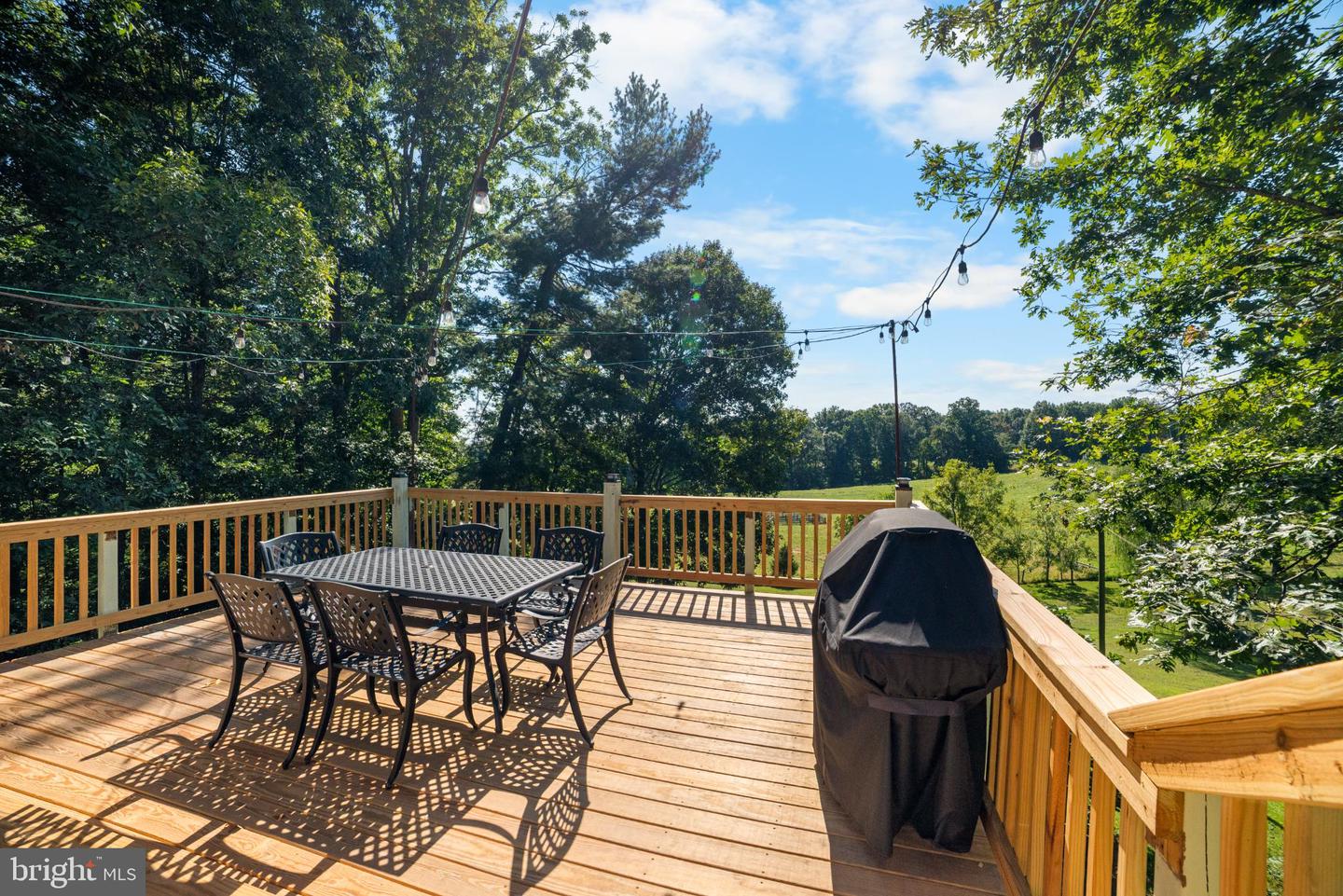 1318 LOCUST GROVE CHURCH RD, ORANGE, Virginia 22960, 5 Bedrooms Bedrooms, 19 Rooms Rooms,4 BathroomsBathrooms,Residential,For sale,1318 LOCUST GROVE CHURCH RD,VAMA2002442 MLS # VAMA2002442