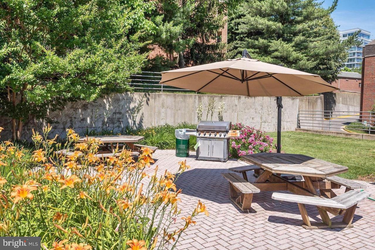 2100 LANGSTON BLVD #431, ARLINGTON, Virginia 22201, 4 Rooms Rooms,1 BathroomBathrooms,Residential,For sale,2100 LANGSTON BLVD #431,VAAR2064094 MLS # VAAR2064094 2100 LANGSTON BLVD #431, ARLINGTON, Virginia 22201, 4 Rooms Rooms,1 BathroomBathrooms,Residential,For sale,2100 LANGSTON BLVD #431,VAAR2064094 MLS # VAAR2064094