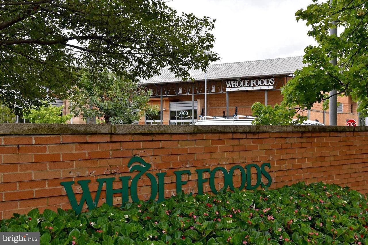 2100 LANGSTON BLVD #431, ARLINGTON, Virginia 22201, 4 Rooms Rooms,1 BathroomBathrooms,Residential,For sale,2100 LANGSTON BLVD #431,VAAR2064094 MLS # VAAR2064094 2100 LANGSTON BLVD #431, ARLINGTON, Virginia 22201, 4 Rooms Rooms,1 BathroomBathrooms,Residential,For sale,2100 LANGSTON BLVD #431,VAAR2064094 MLS # VAAR2064094