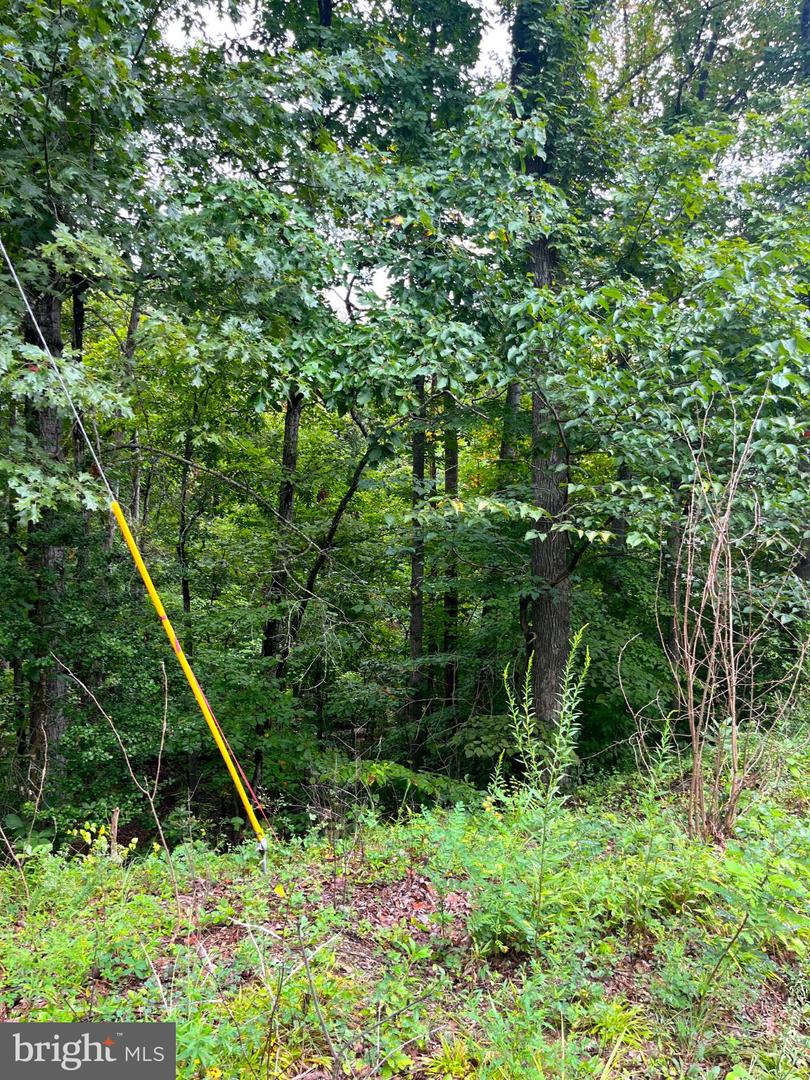 202 SAIL CV, STAFFORD, Virginia 22554, ,Land,For sale,202 SAIL CV,VAST2041946 MLS # VAST2041946